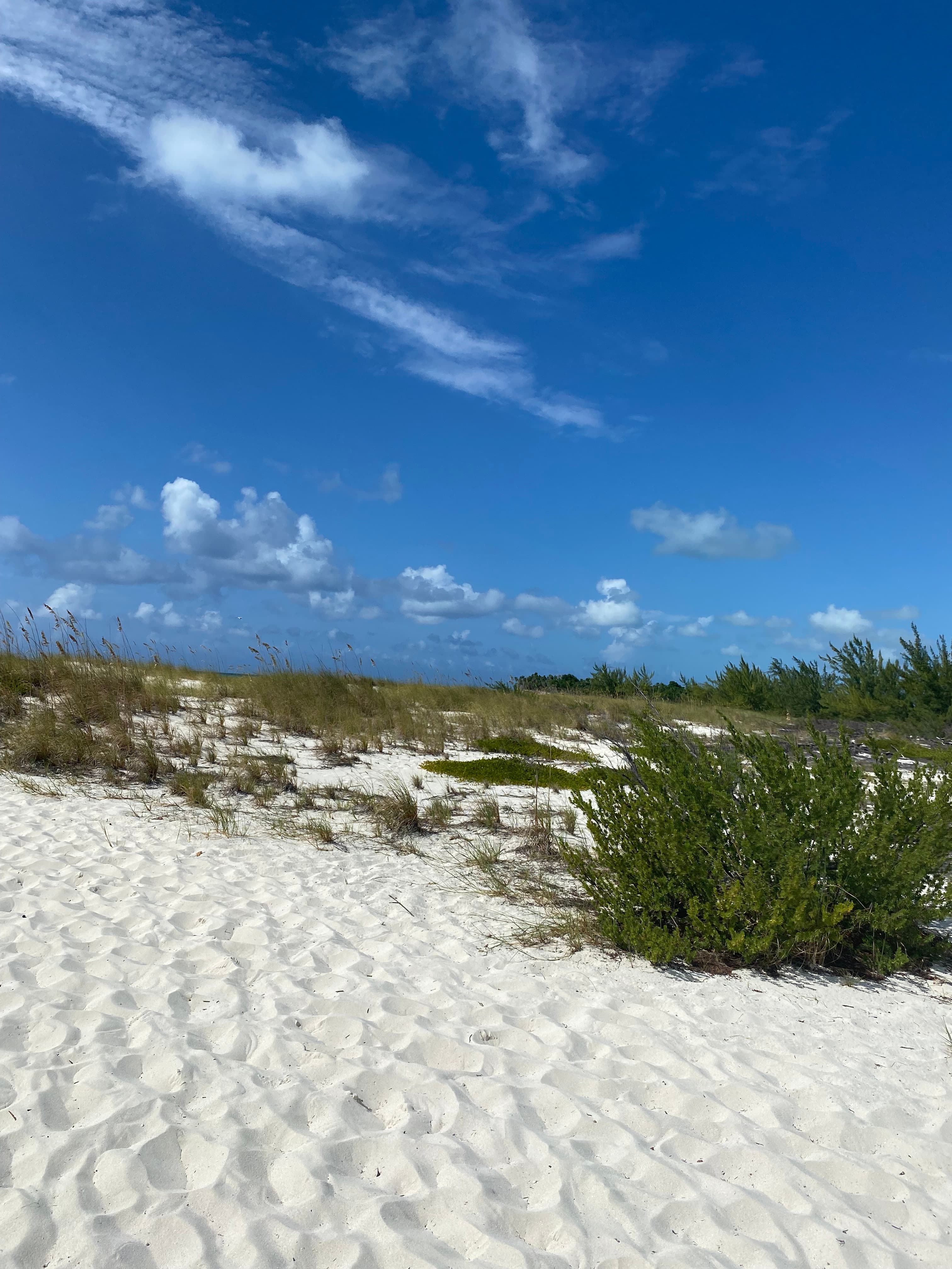 Turks & Caicos: The Ultimate Guide to Island Serenity curated by Ayajsha Morris