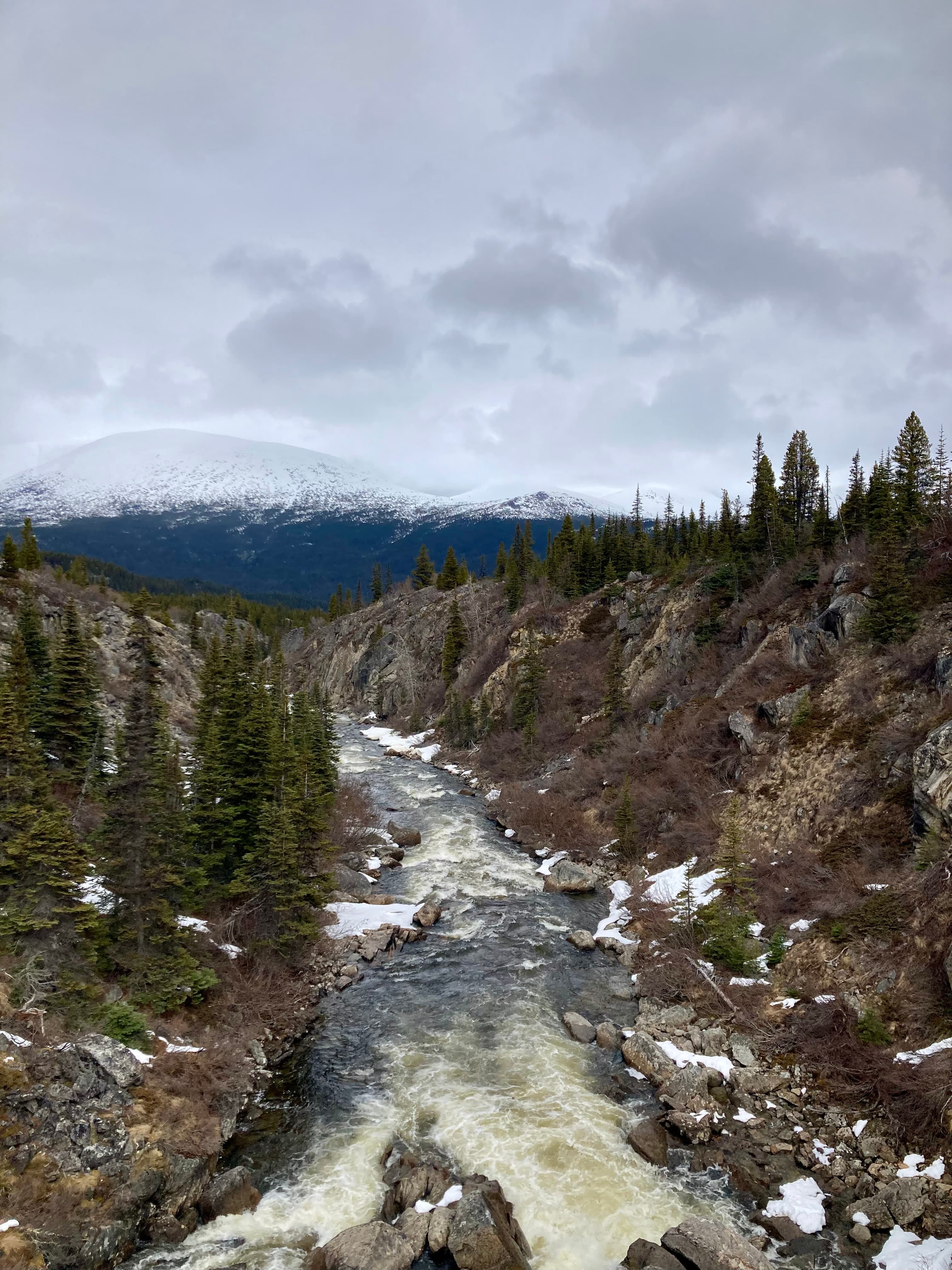 Exploring Skagway: Family, Rails & Gold Rush Tales curated by Kadija Bridgewater
