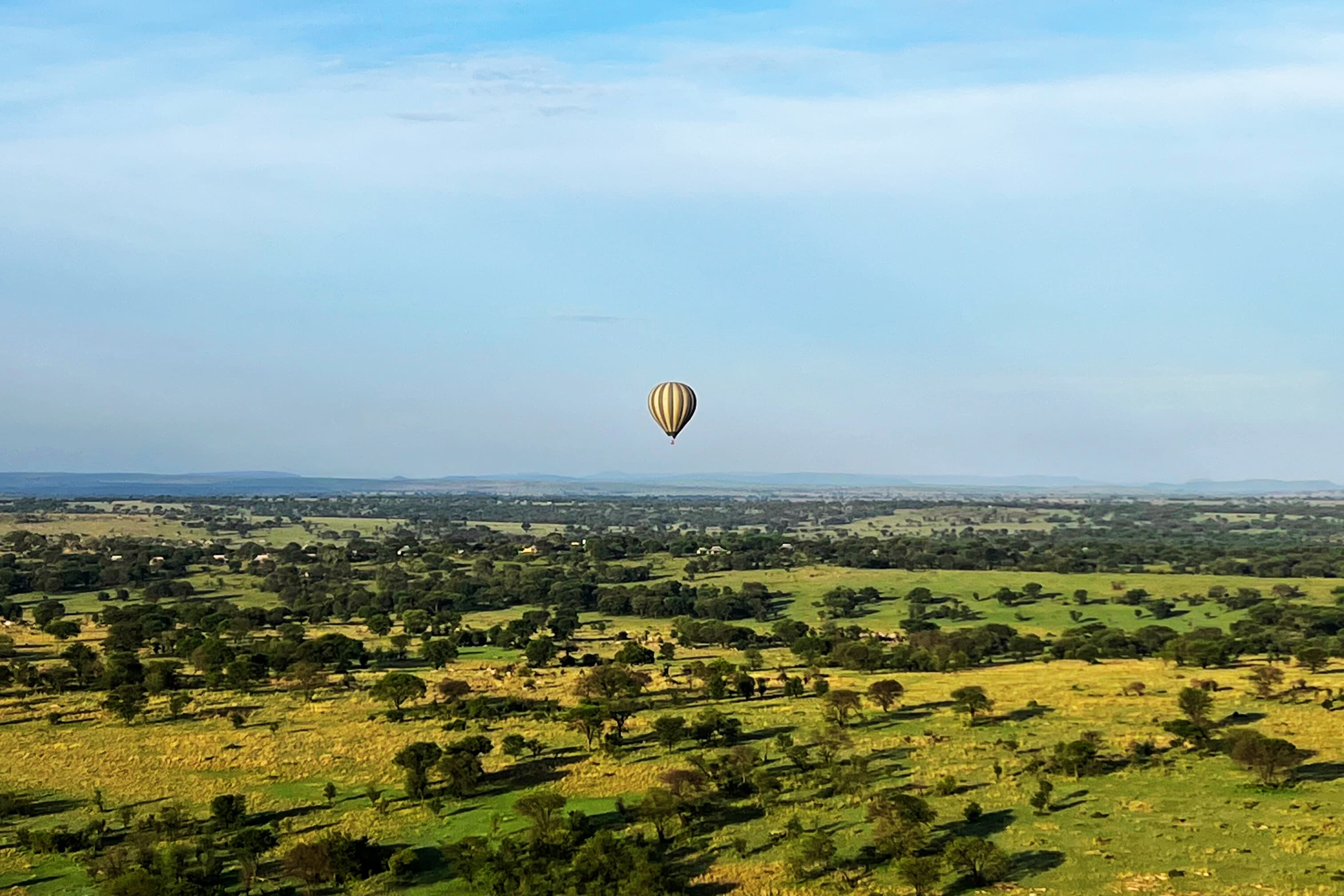 Beyond the Crowds: A 14 Day “Calving & Coast” Perfect Honeymoon in Tanzania curated by Connie Koenigkann