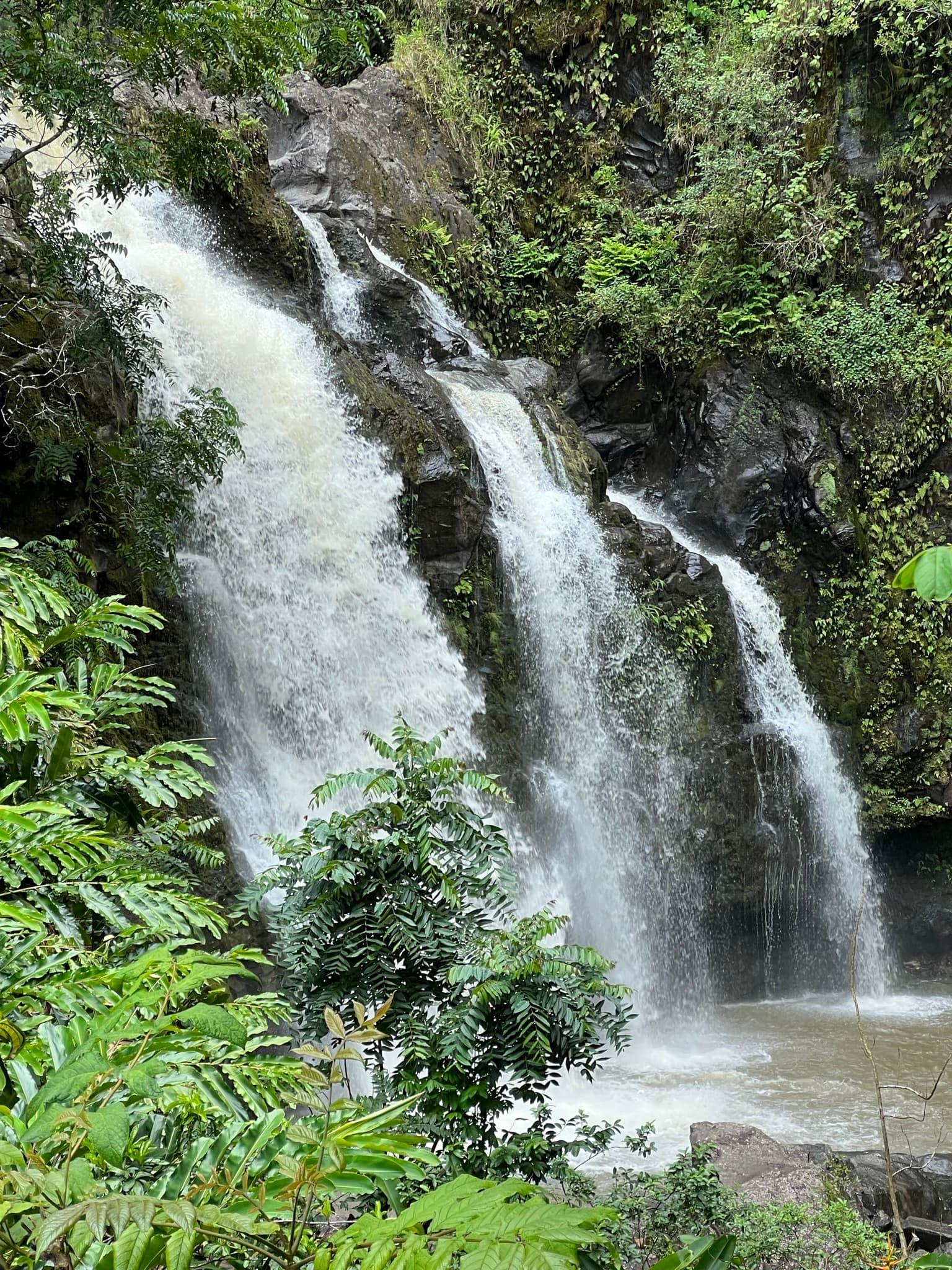 Travel photo 4