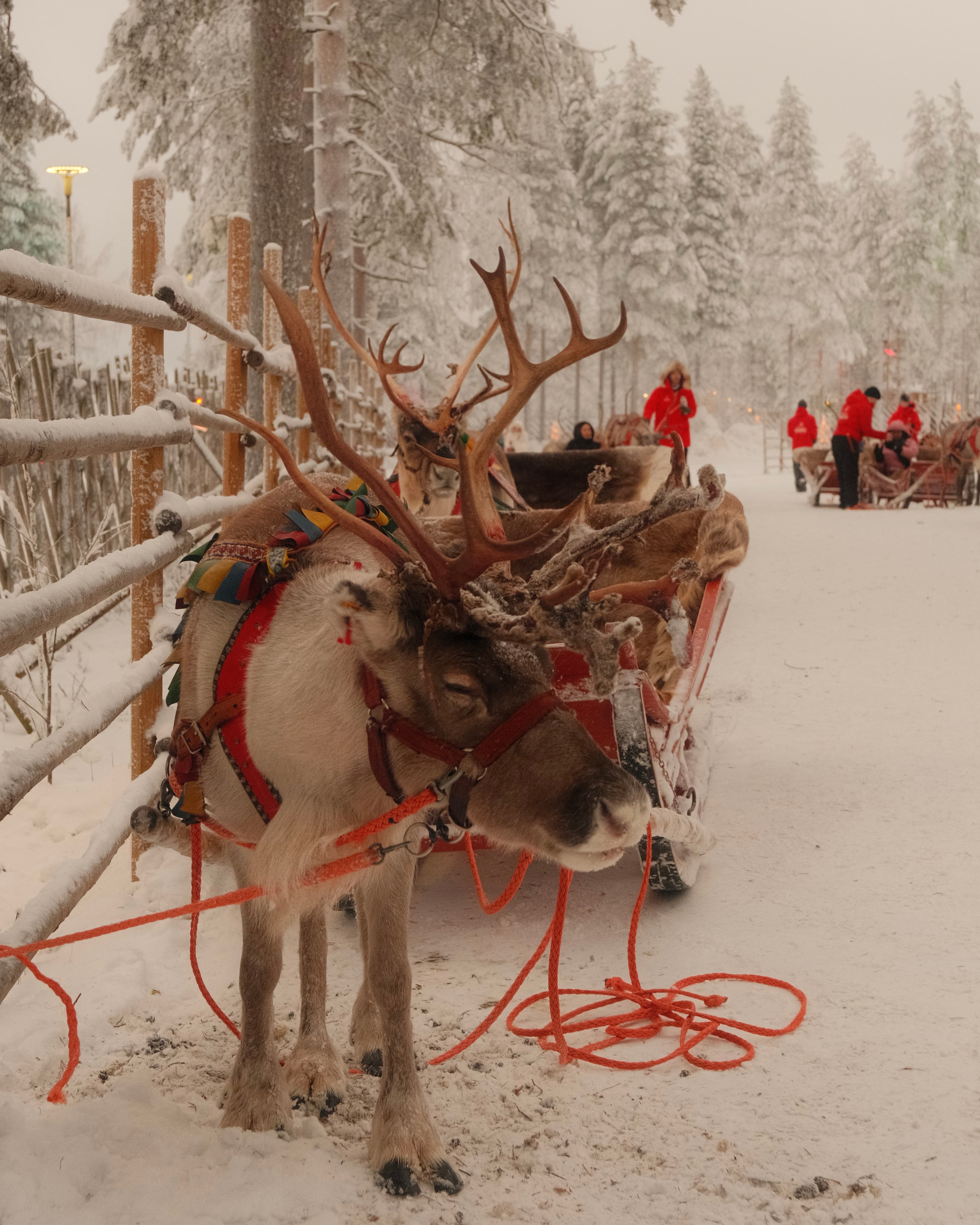 Arctic Circle: Santa Claus Village curated by Jea Breshears