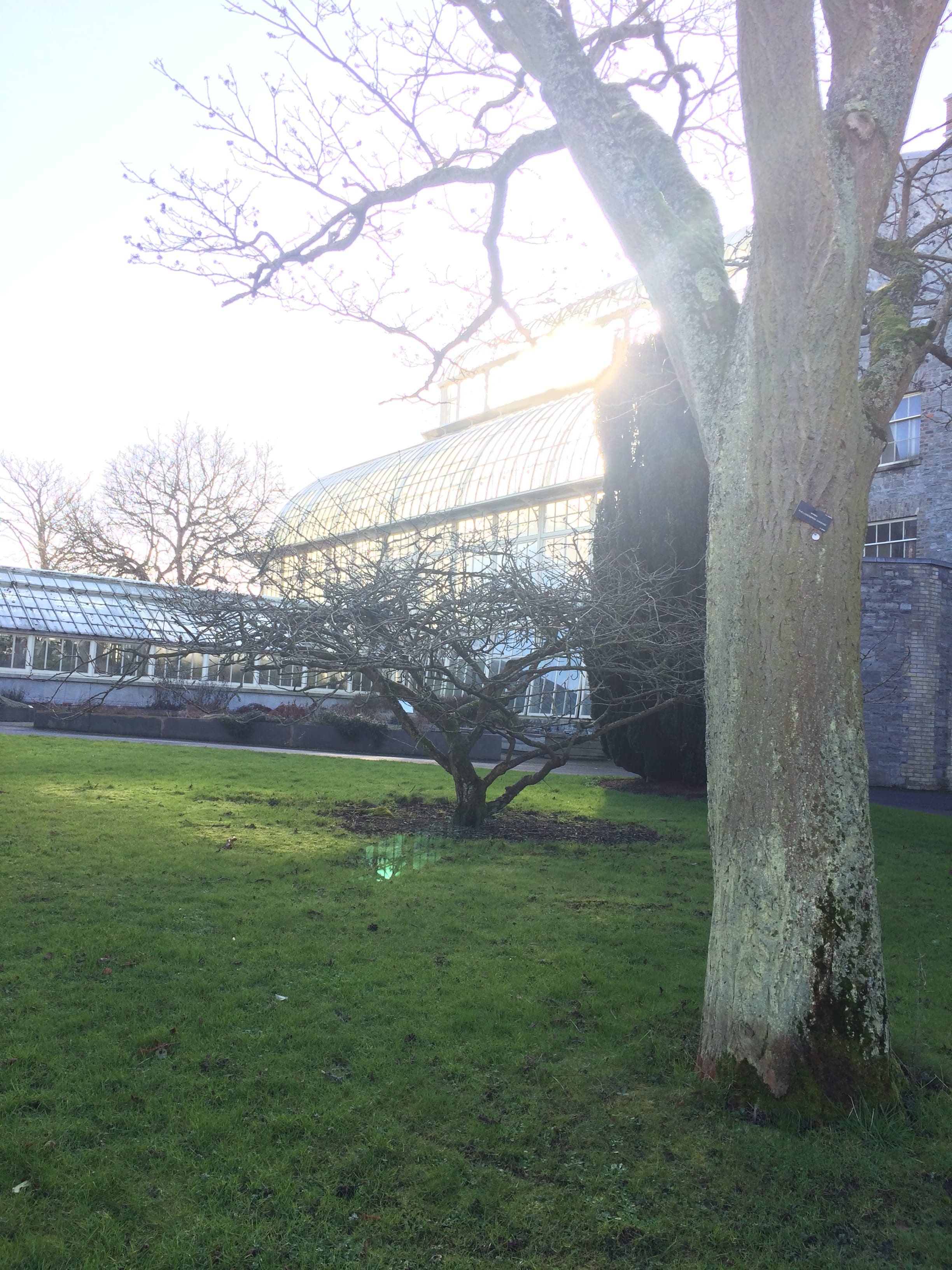 Dublin Days curated by Ellen Reinhold