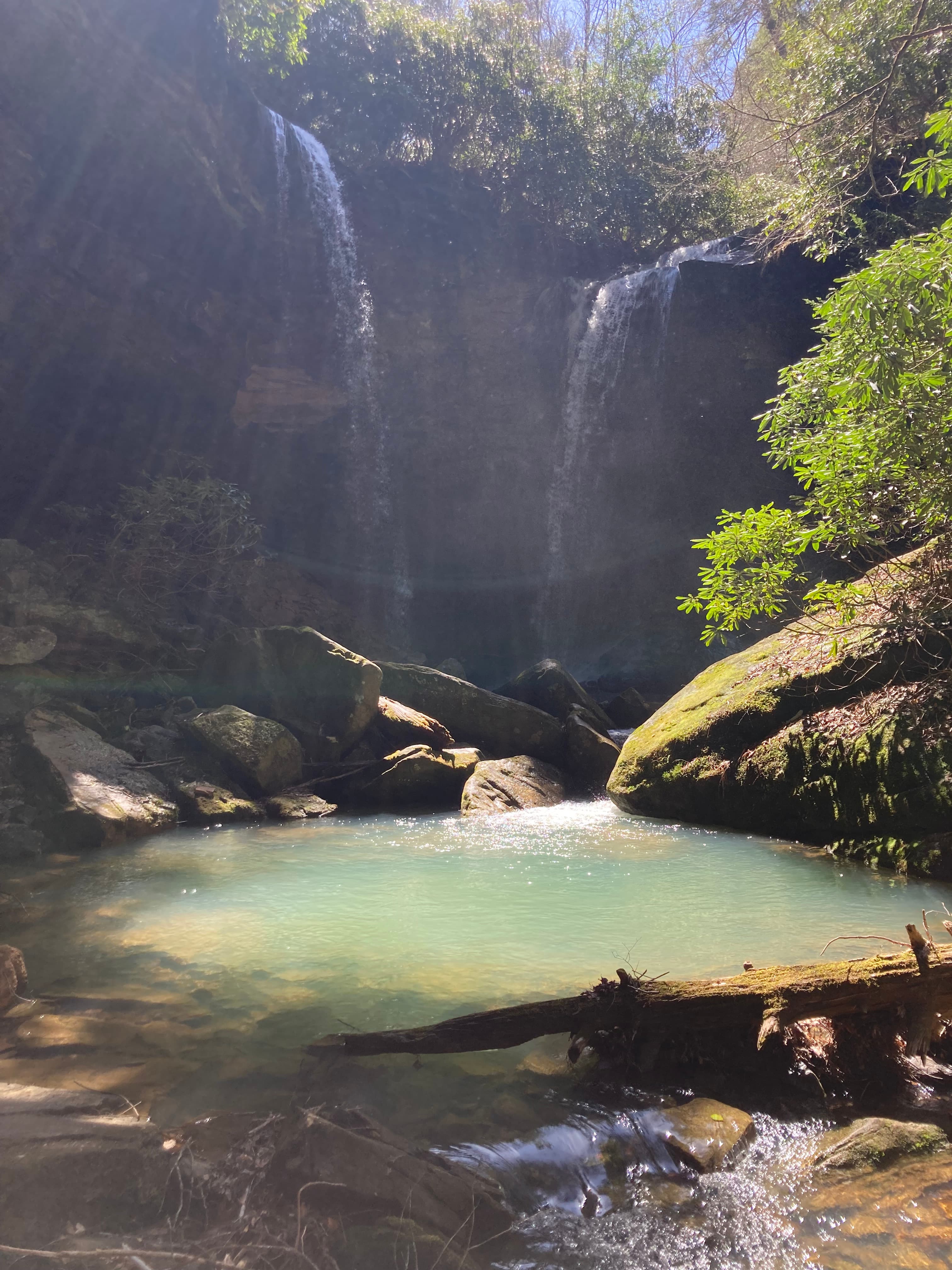 Lexington’s Best curated by Ellen Reinhold