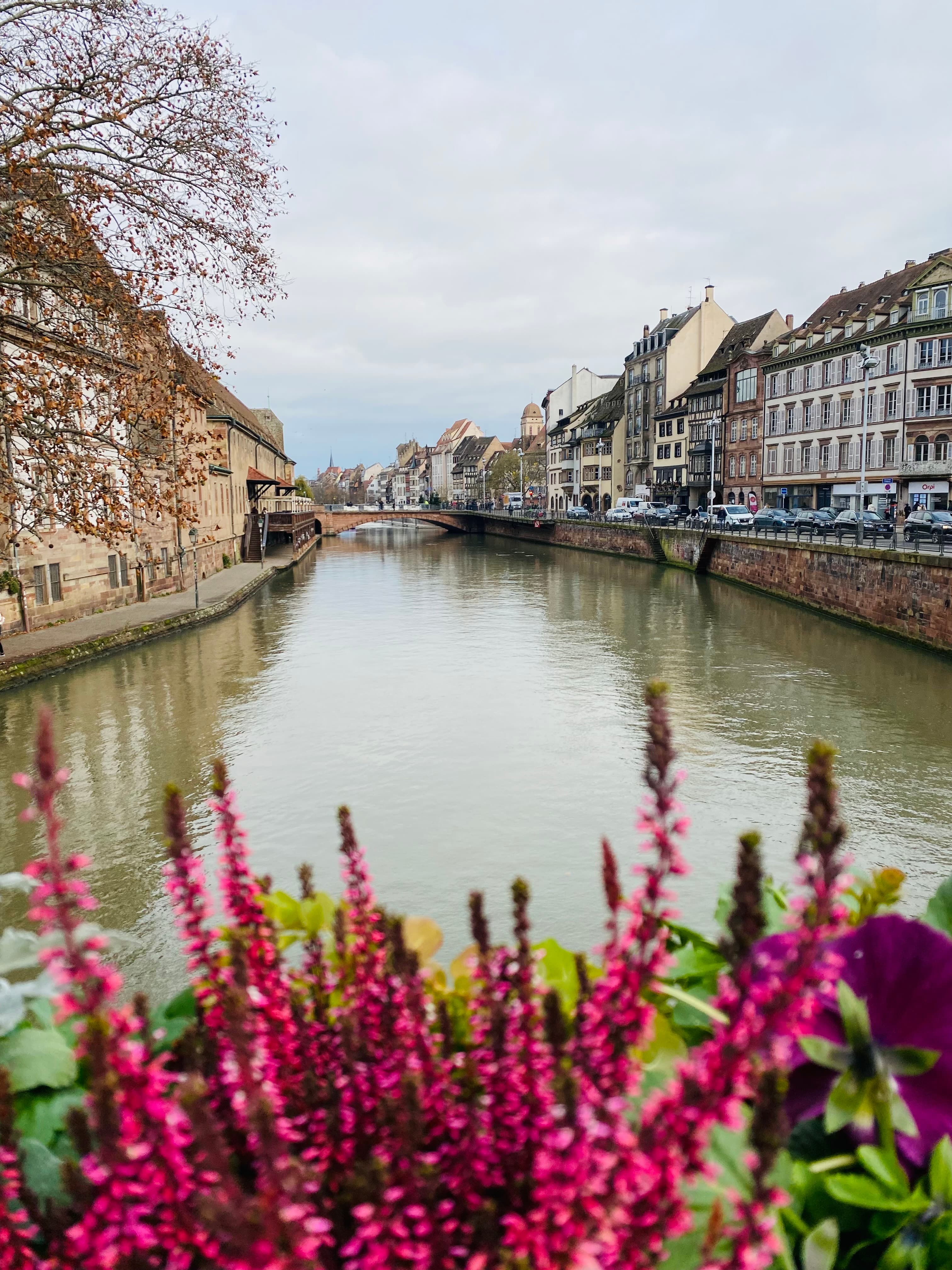 From Amsterdam to Basel: 25th Anniversary Viking River Cruise curated by Stephanie Avello