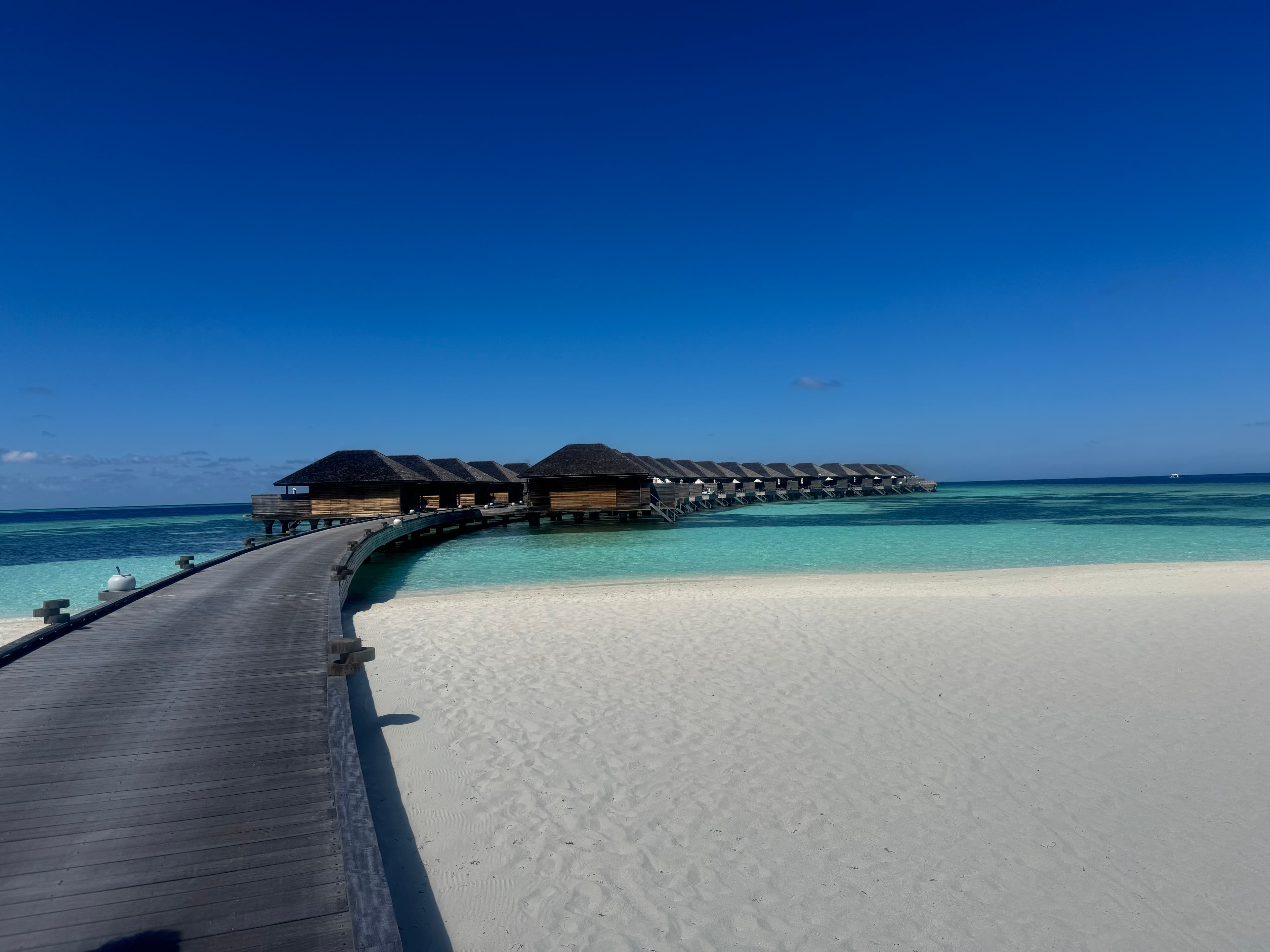 Hurawahli: A Lovely Little Barefoot Traditional Maldive Island curated by Susan Anderson