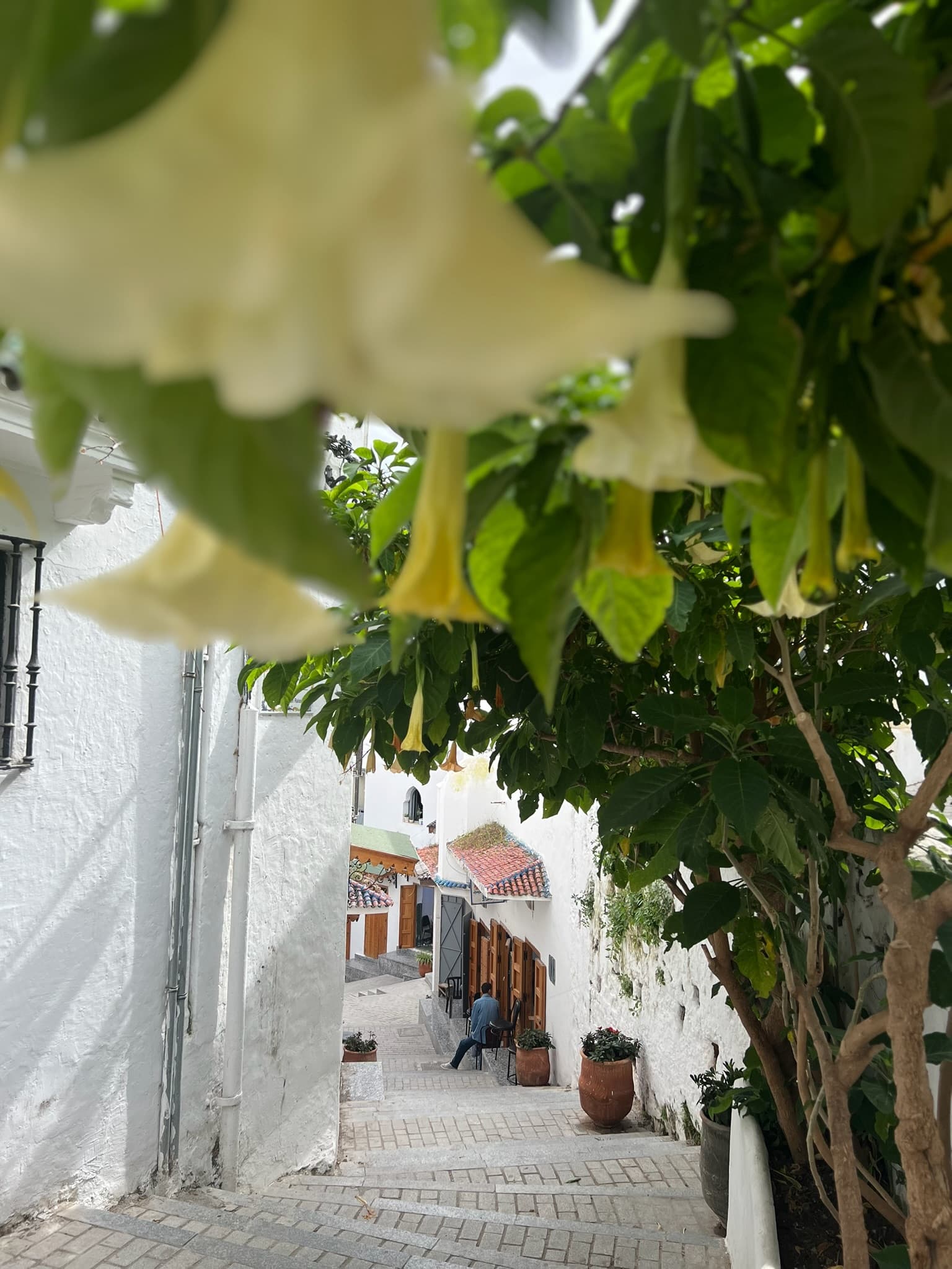 Travel photo 4