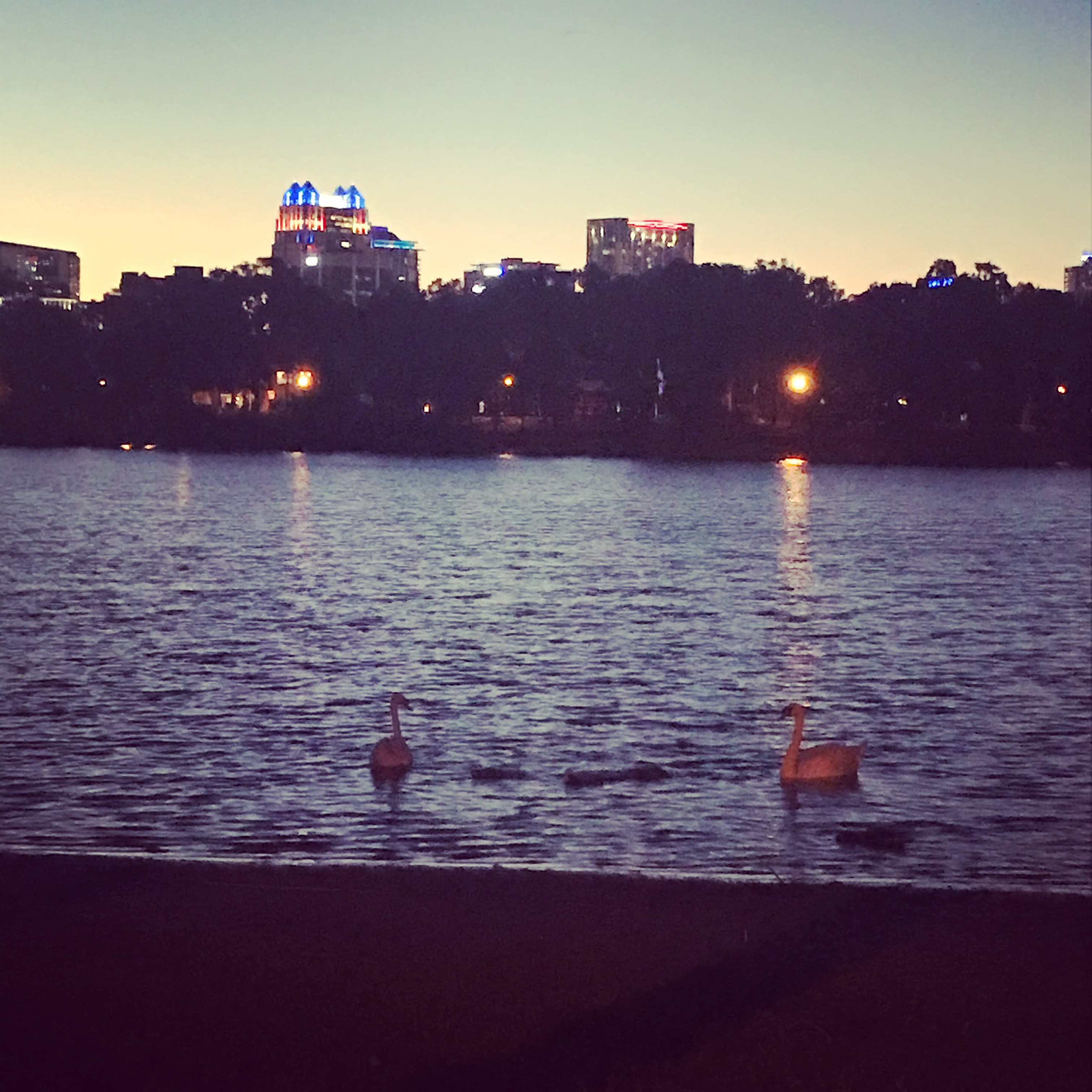 The Real Orlando curated by Natalie Hutcherson