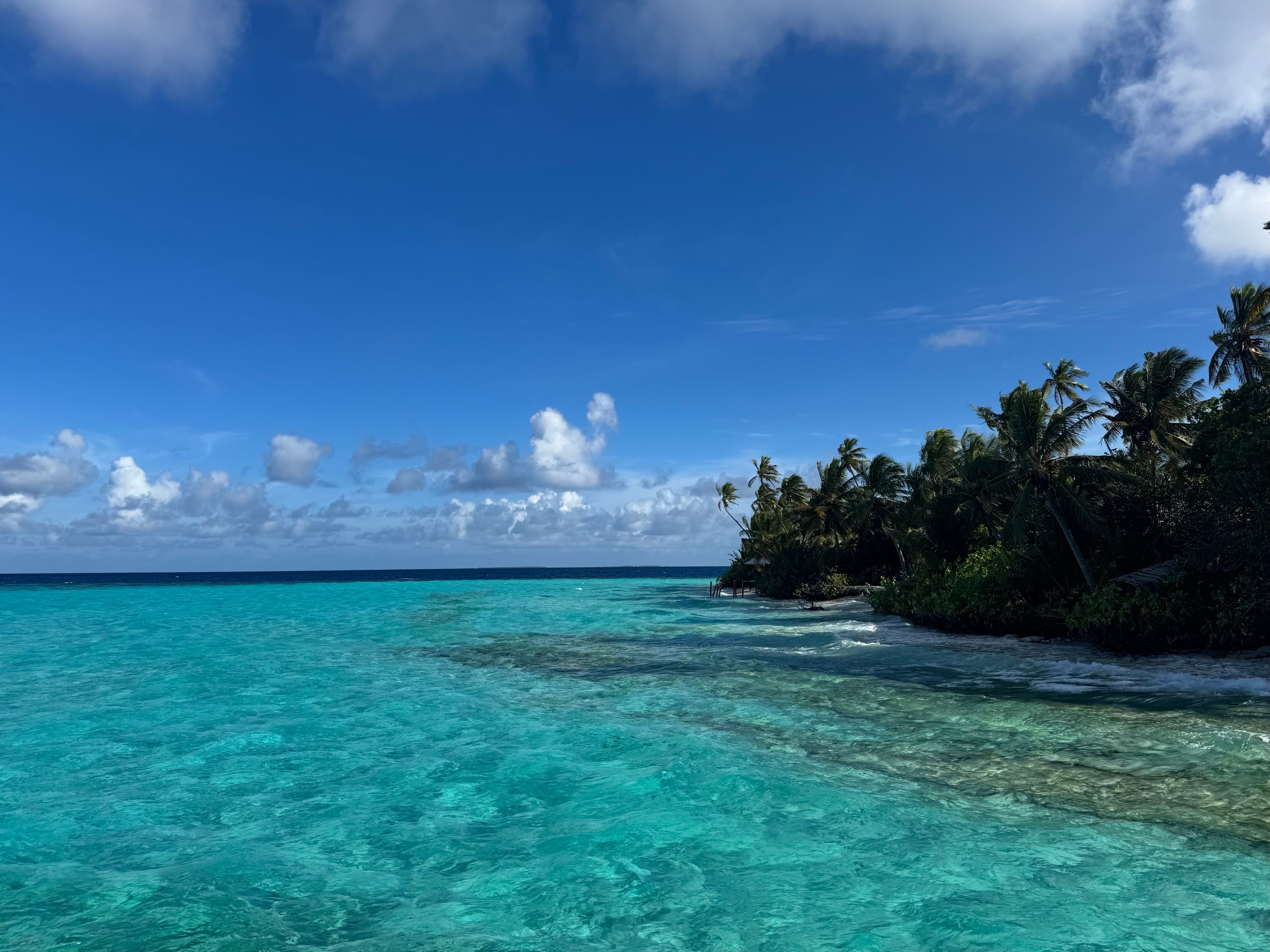 Park Hyatt Hadahaa: A Lovely Remote Maldives Resort with a Wonderful Robinson Crusoe Vibe curated by Susan Anderson