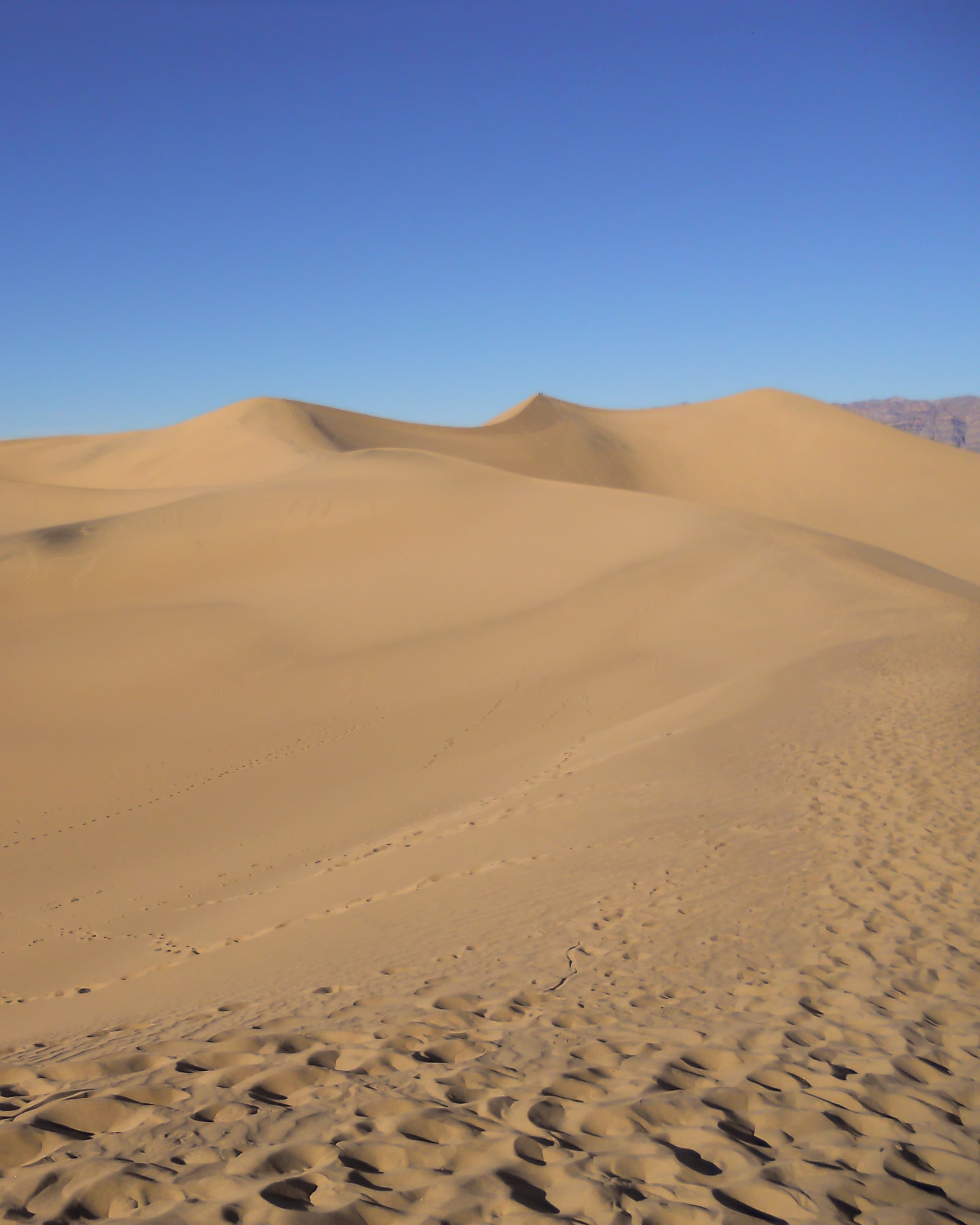 Winter Desert Oasis in Death Valley National Park curated by Hannah Fortney