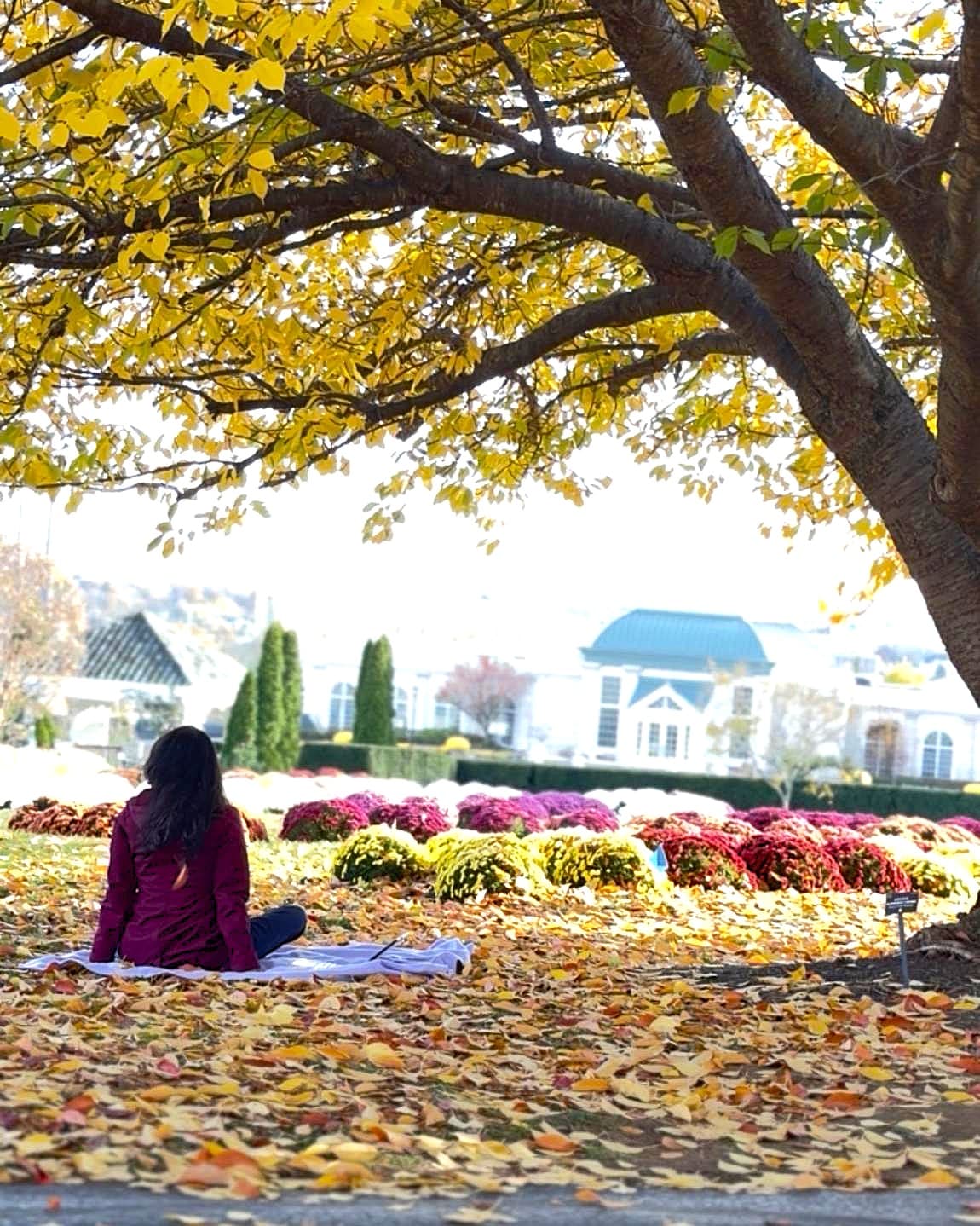 A Sweet Solo Escape to Hershey, Pennsylvania: 24 Hours of Rest, Chocolate & Fall Magic curated by Gloria Oquendo