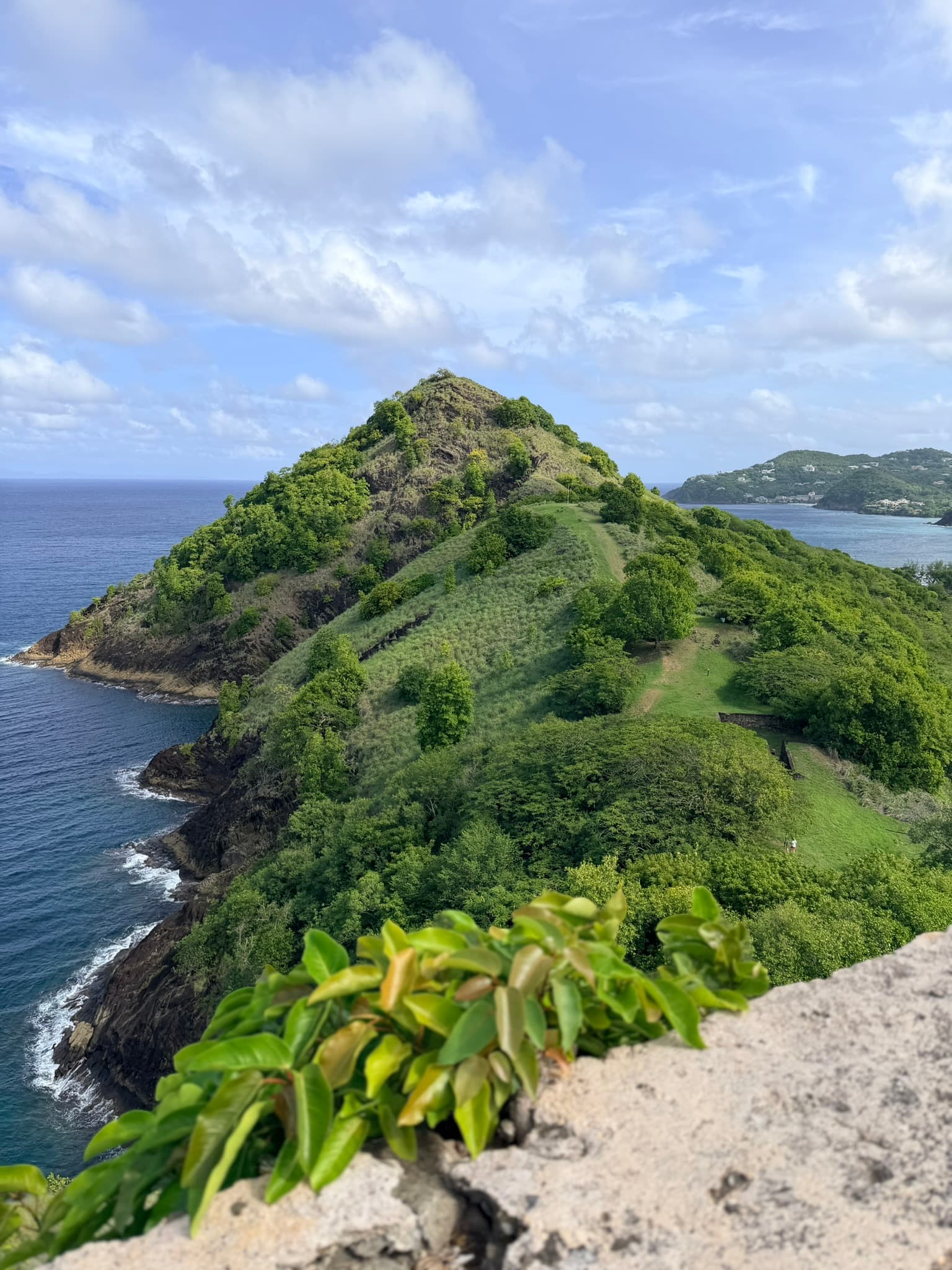 North vs. South: It Feels Like Two Different Islands curated by Mariah McKee