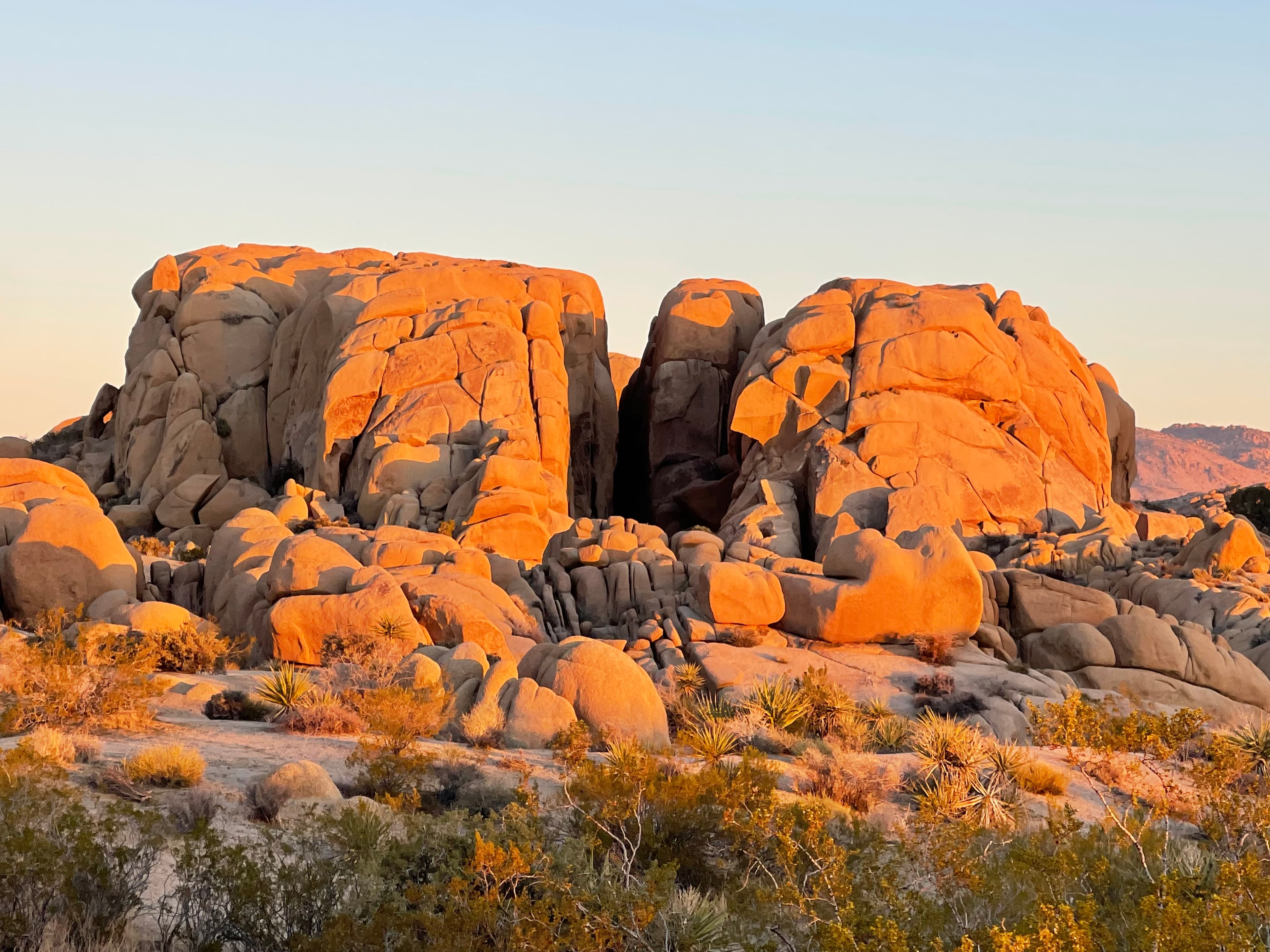 A Southwest Road Trip: Desert Landscapes to the Pacific Coast curated by Jessica Crispo