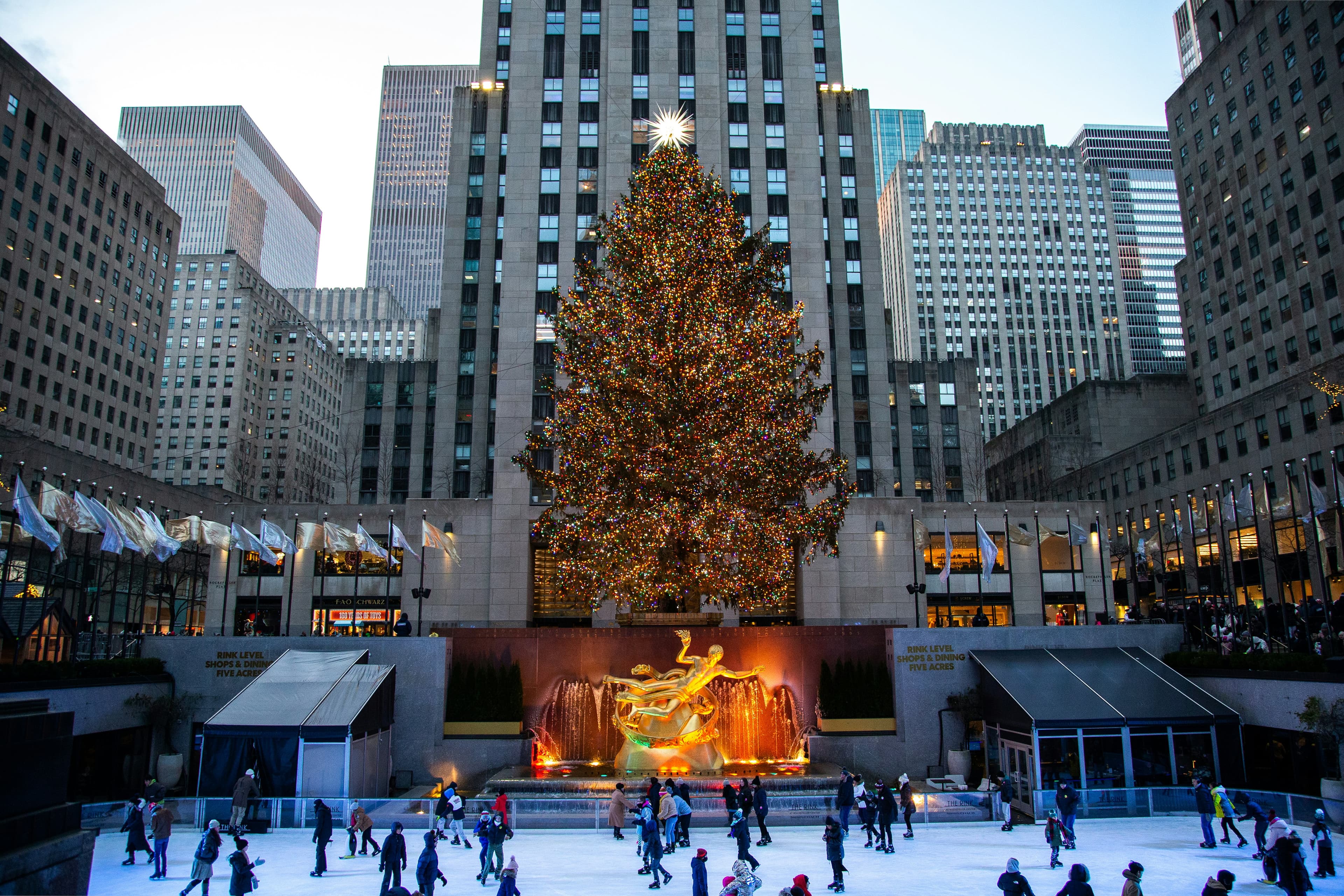 A Magical Christmas in New York City: Iconic Highlights & Local Holiday Gems curated by Michelle Christenson