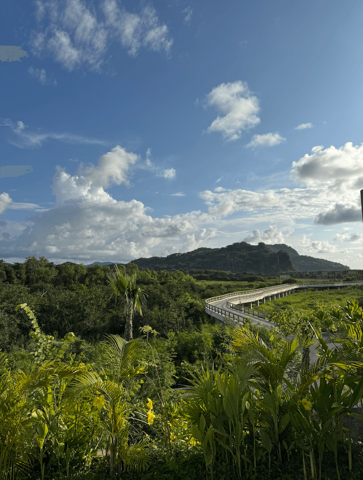 Punta Mita and Riviera Nayarit: The Perfect Mexican Getaway curated by Tessa Carro