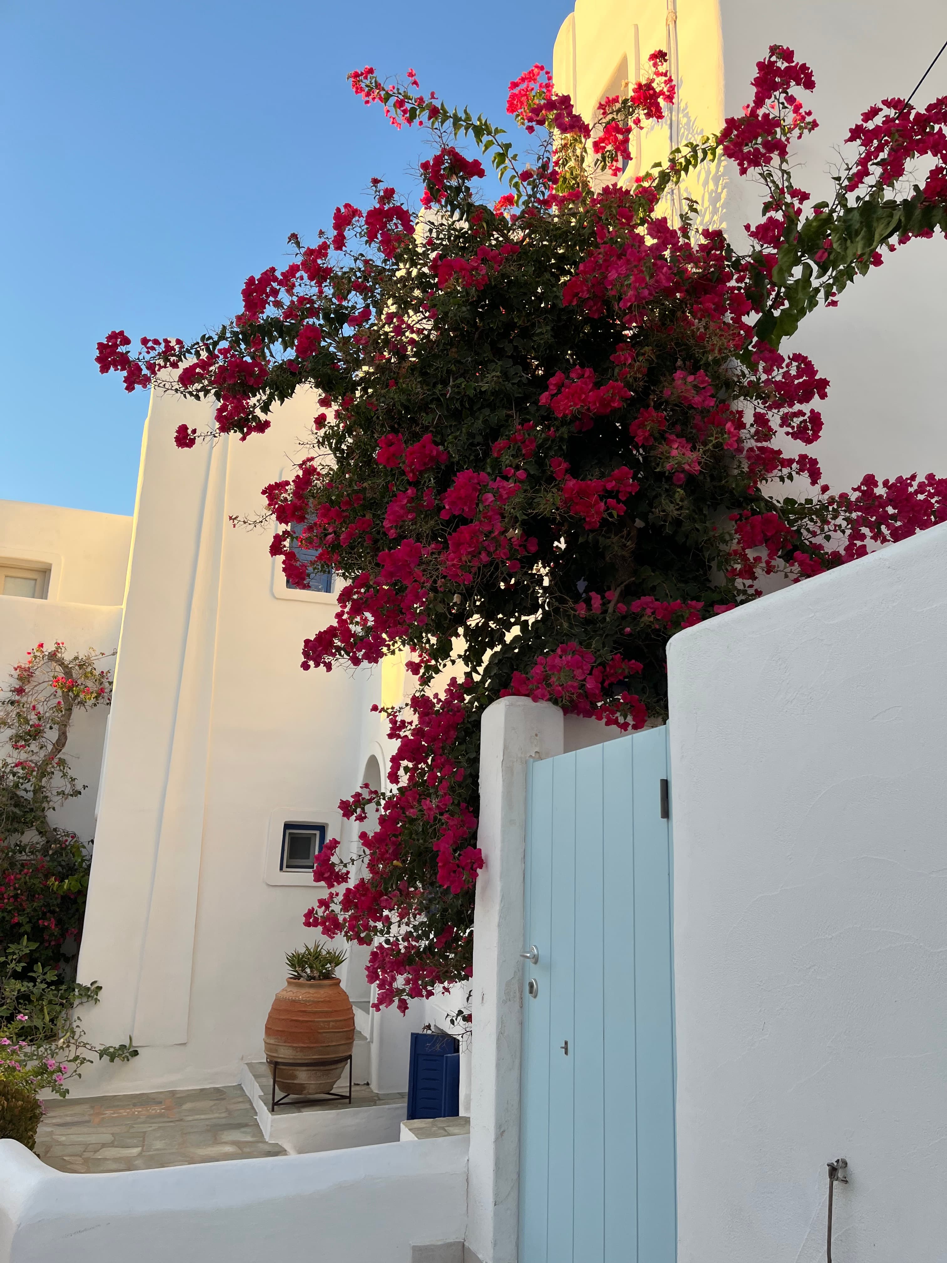 Greece with Teens: 8 Days in Athens & Paros curated by Anjali Augustine