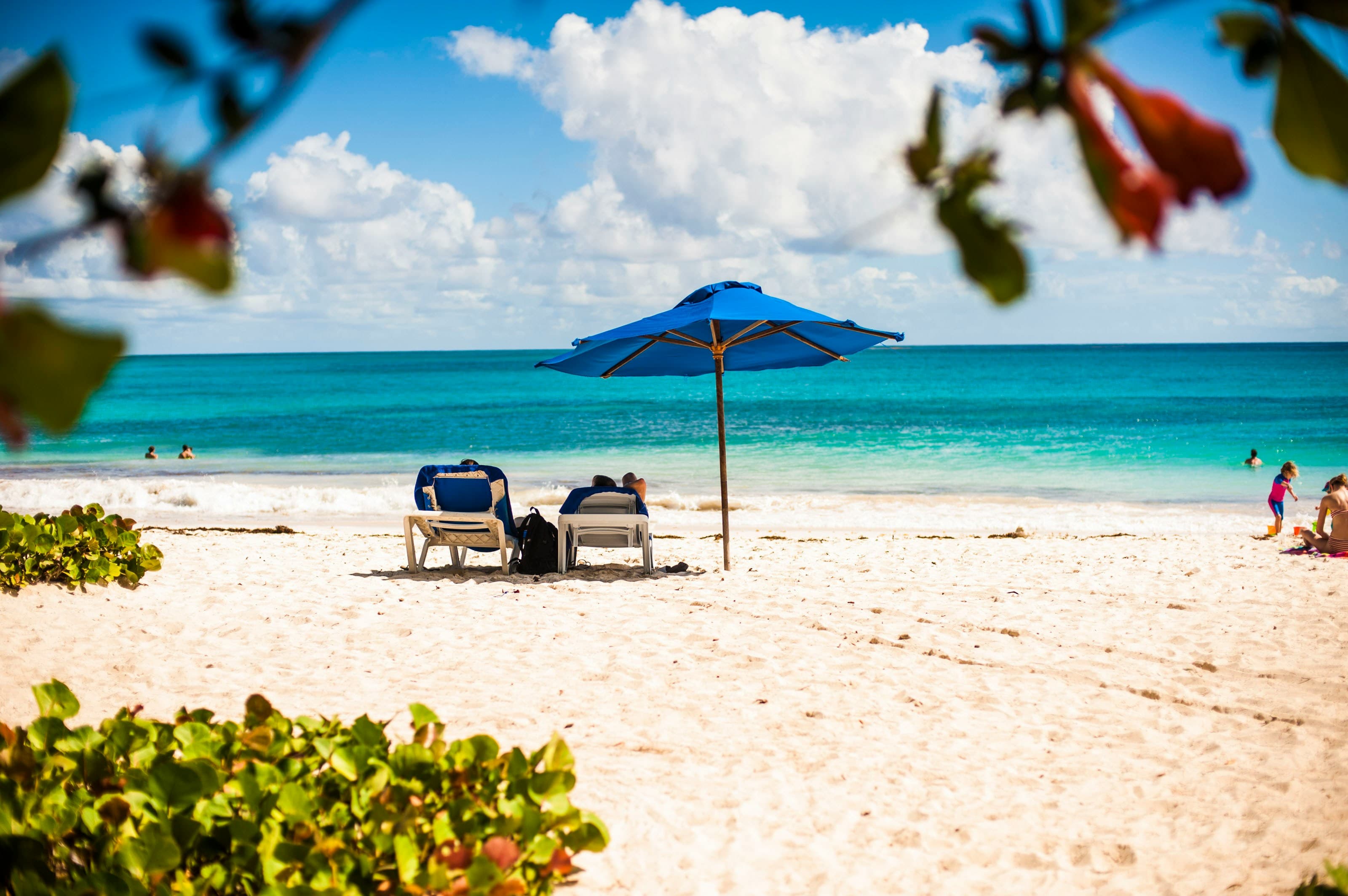 Welcome to Barbados: Your Island Escape curated by Stephanie Khan