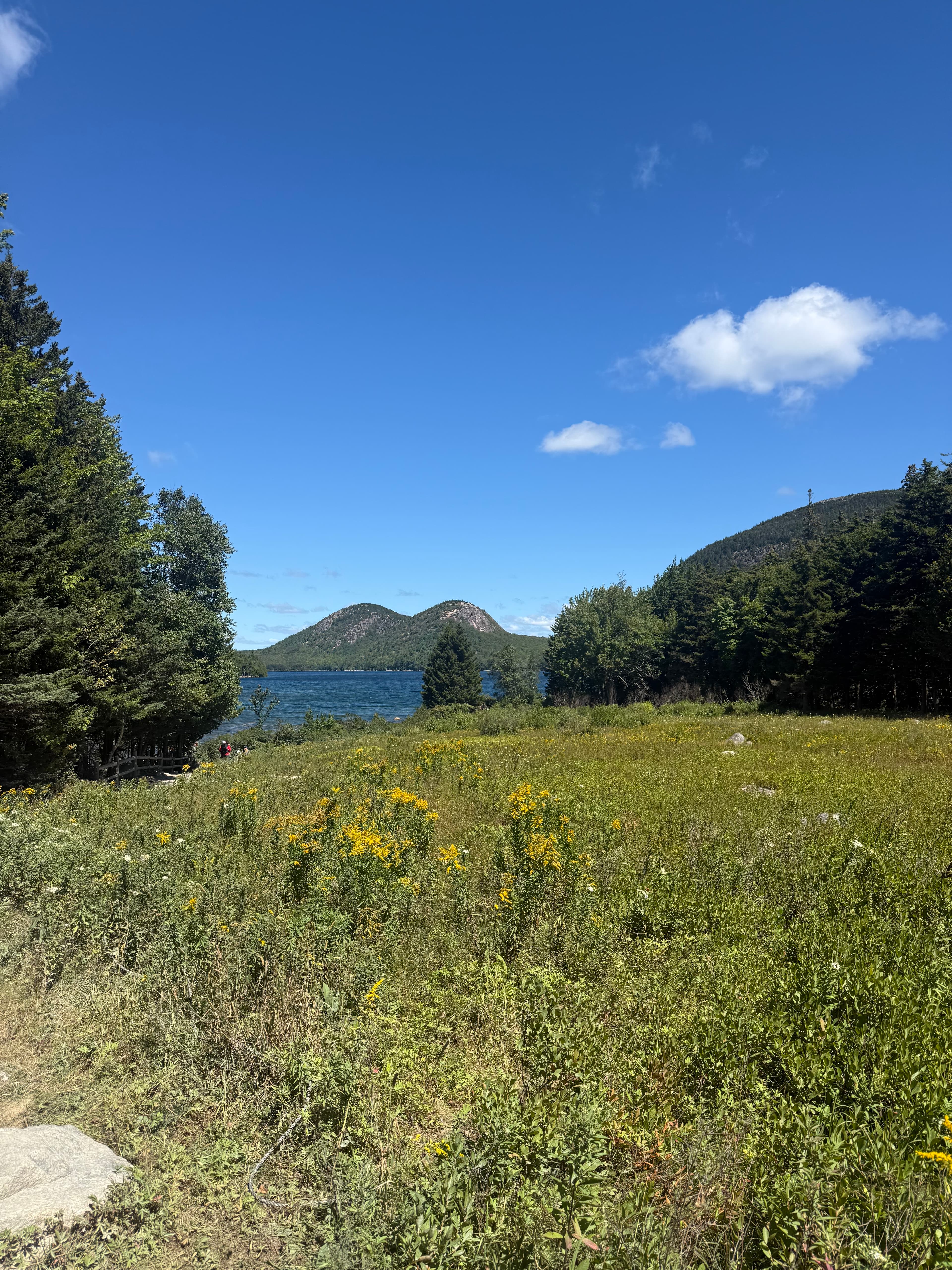 The Ultimate Guide to Bar Harbor & Acadia National Park curated by Meri Horn