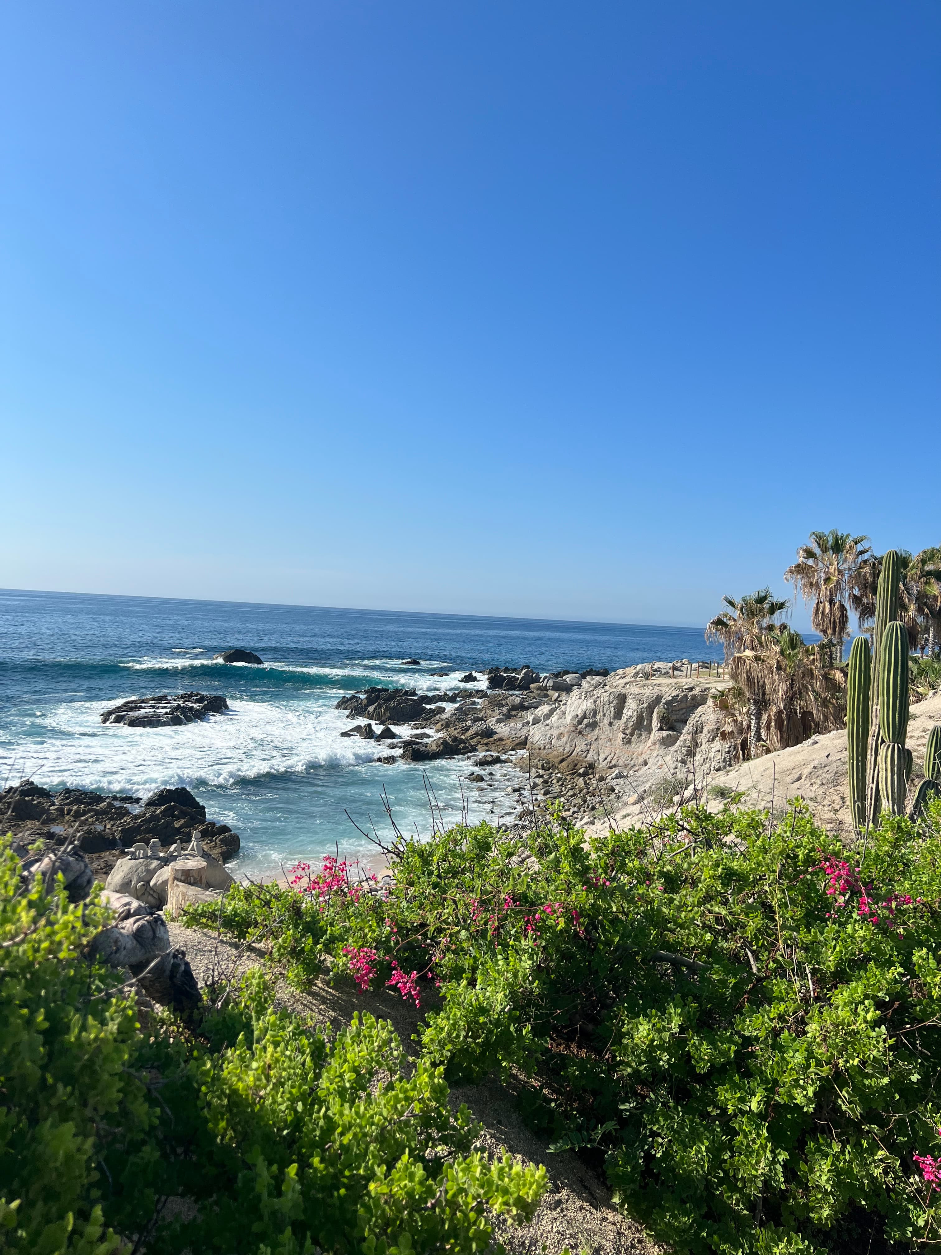 A Timeless Escape to Cabo curated by Beatrice Kalish