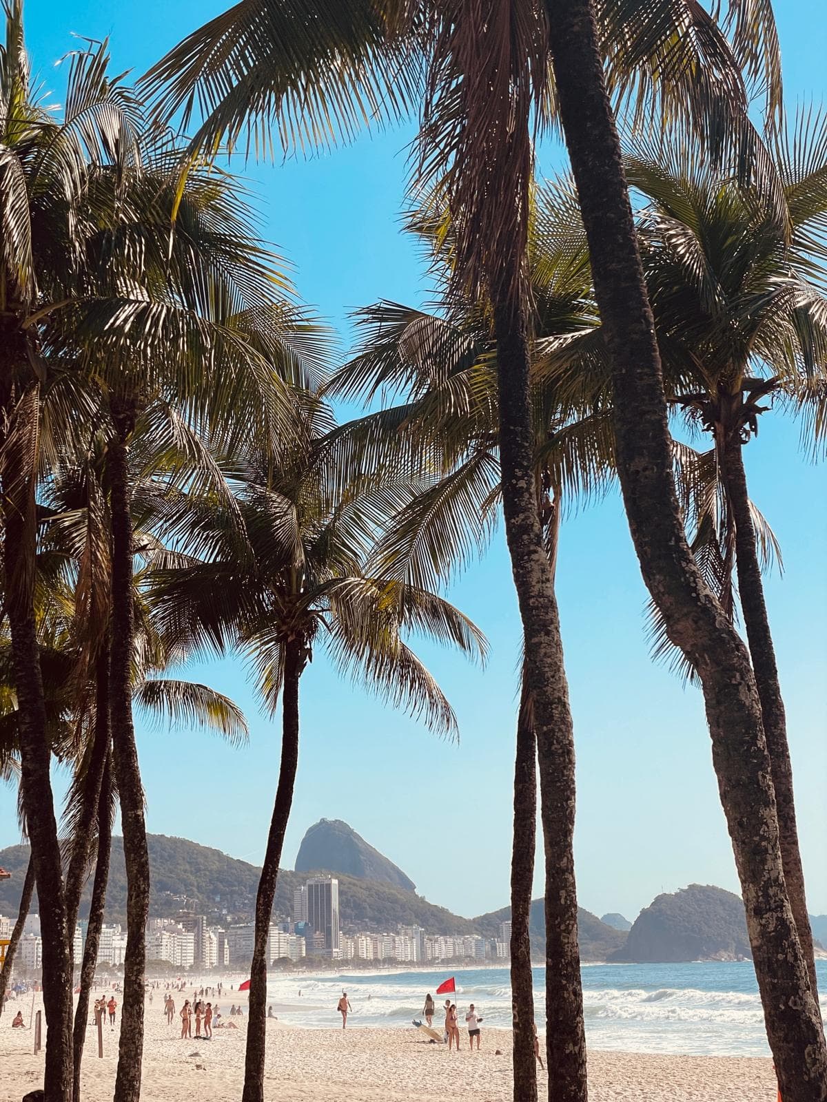 The Art of Experiencing Rio de Janeiro curated by Simona Ispas