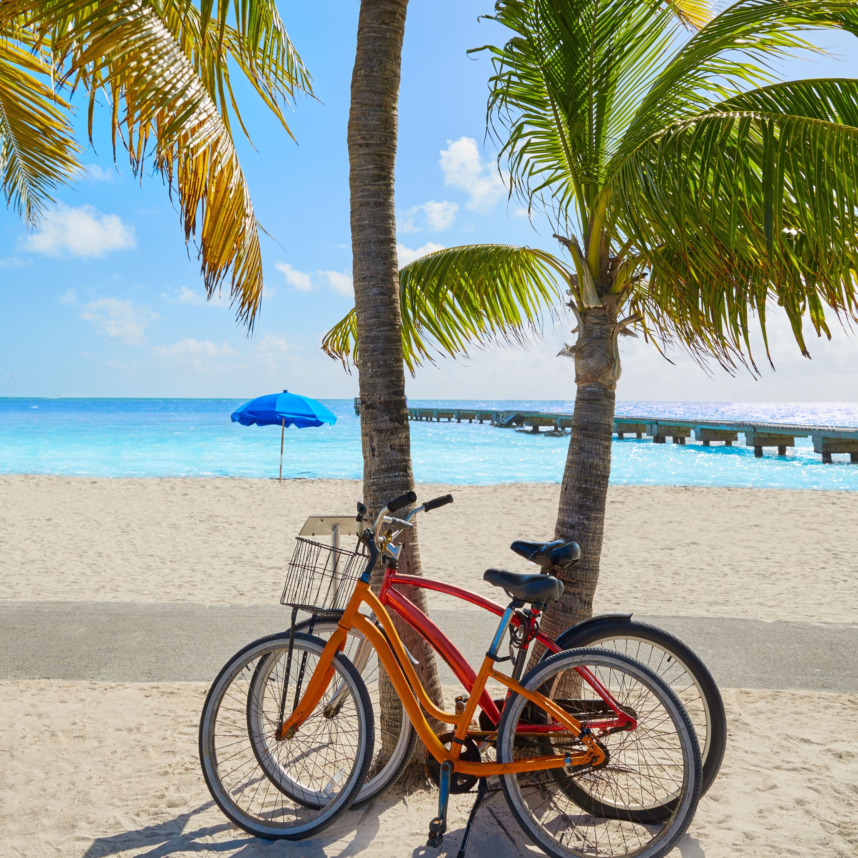 Fort Lauderdale: Miami Beaches, Nature & Local Escapes curated by Cristina Urbina