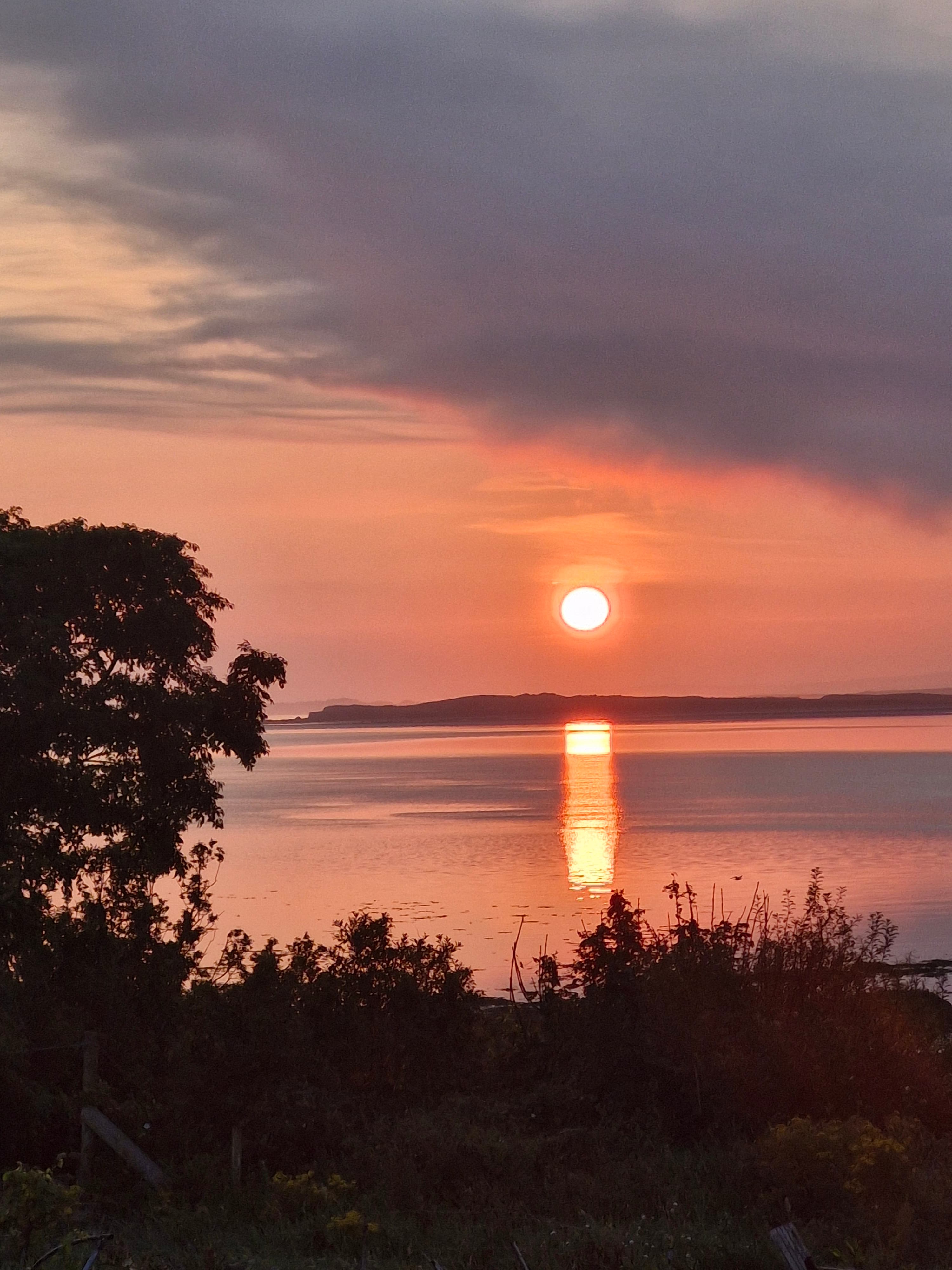 The Art of Finding Irish Roots: A Genealogy Trail Through Ireland curated by Marie Collins Vaughan