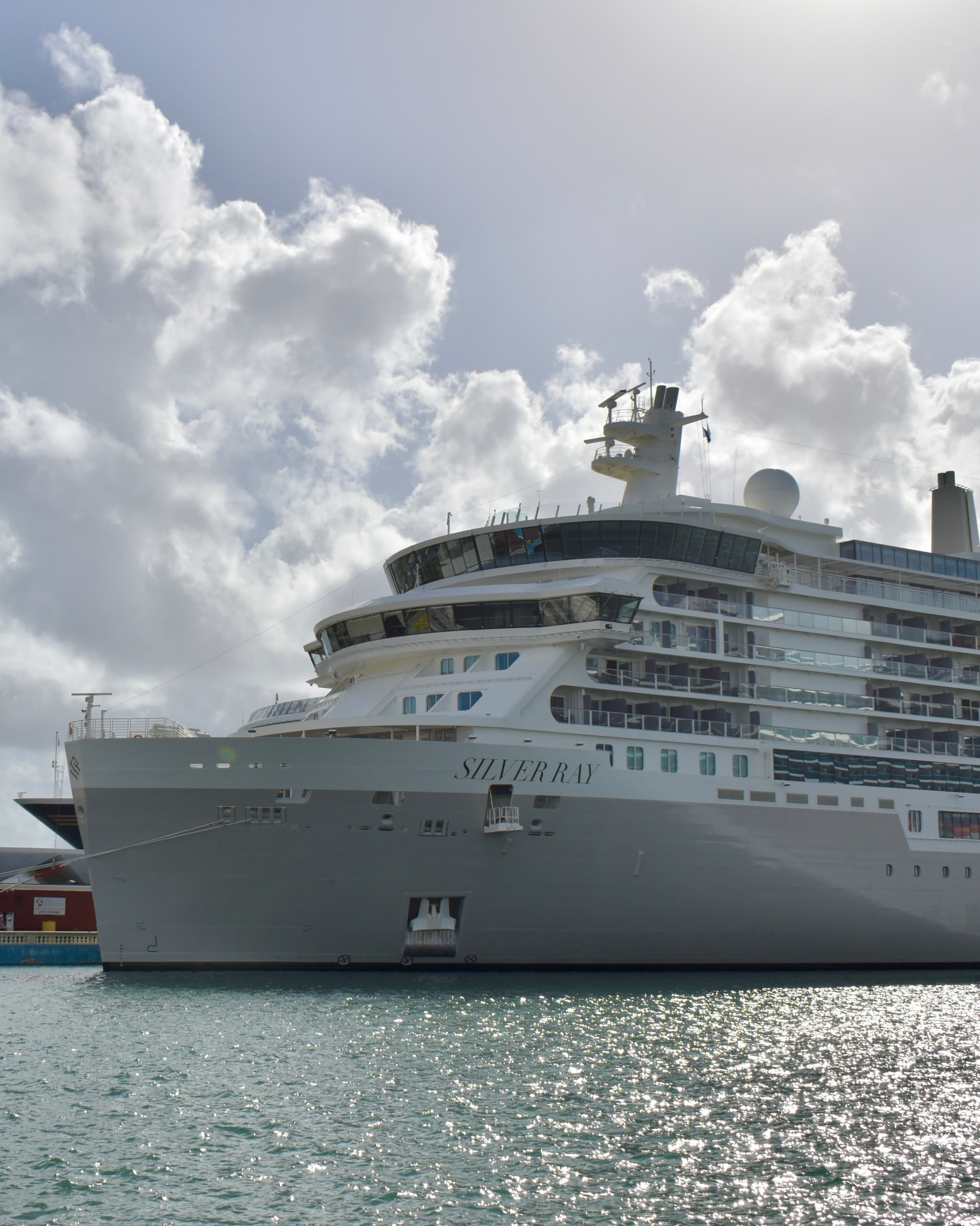 Silver Ray Cruise Through the Caribbean & Our Wedding curated by Paula Salas
