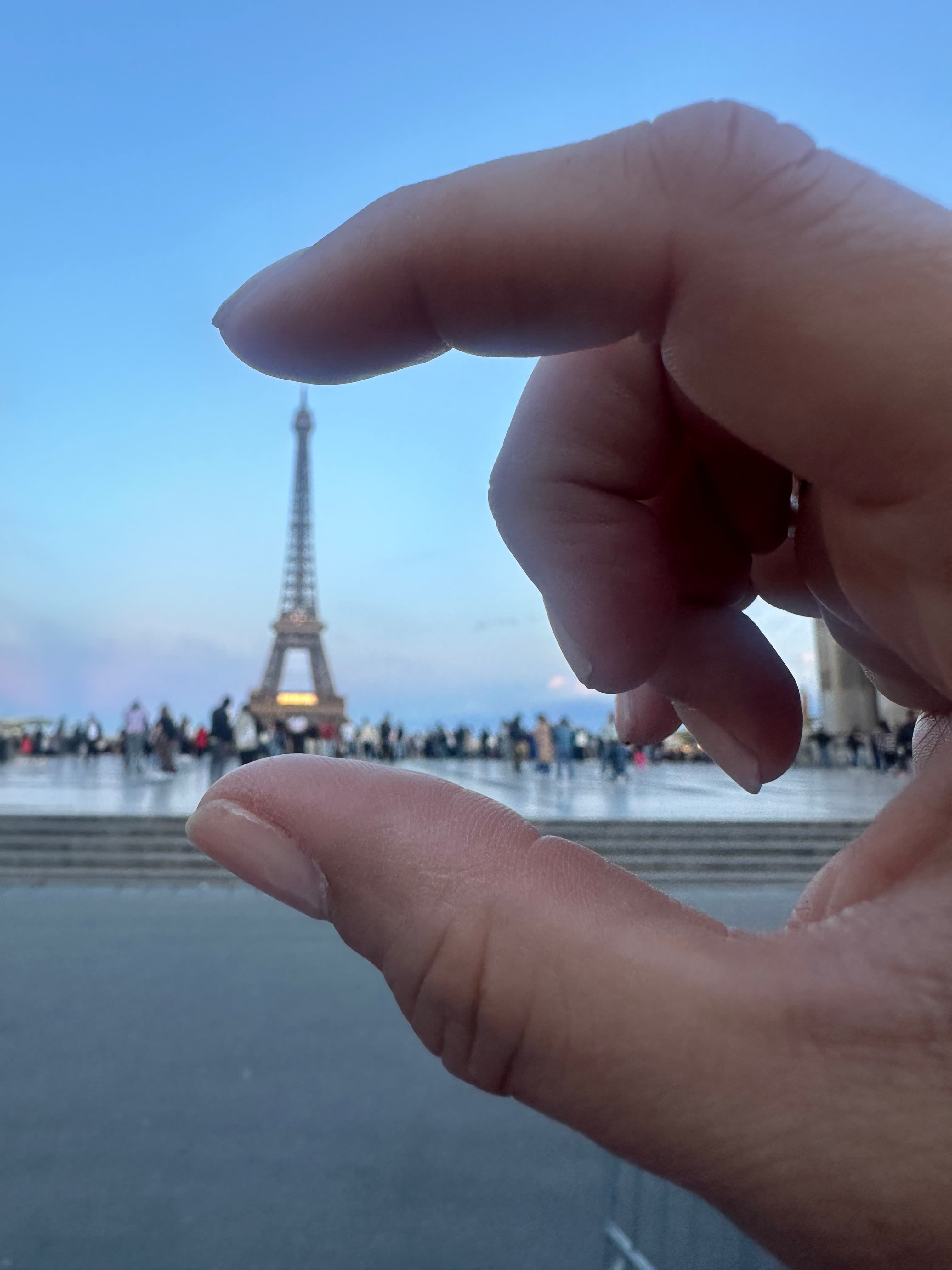 Croissant & Culture curated by Nicole Davis