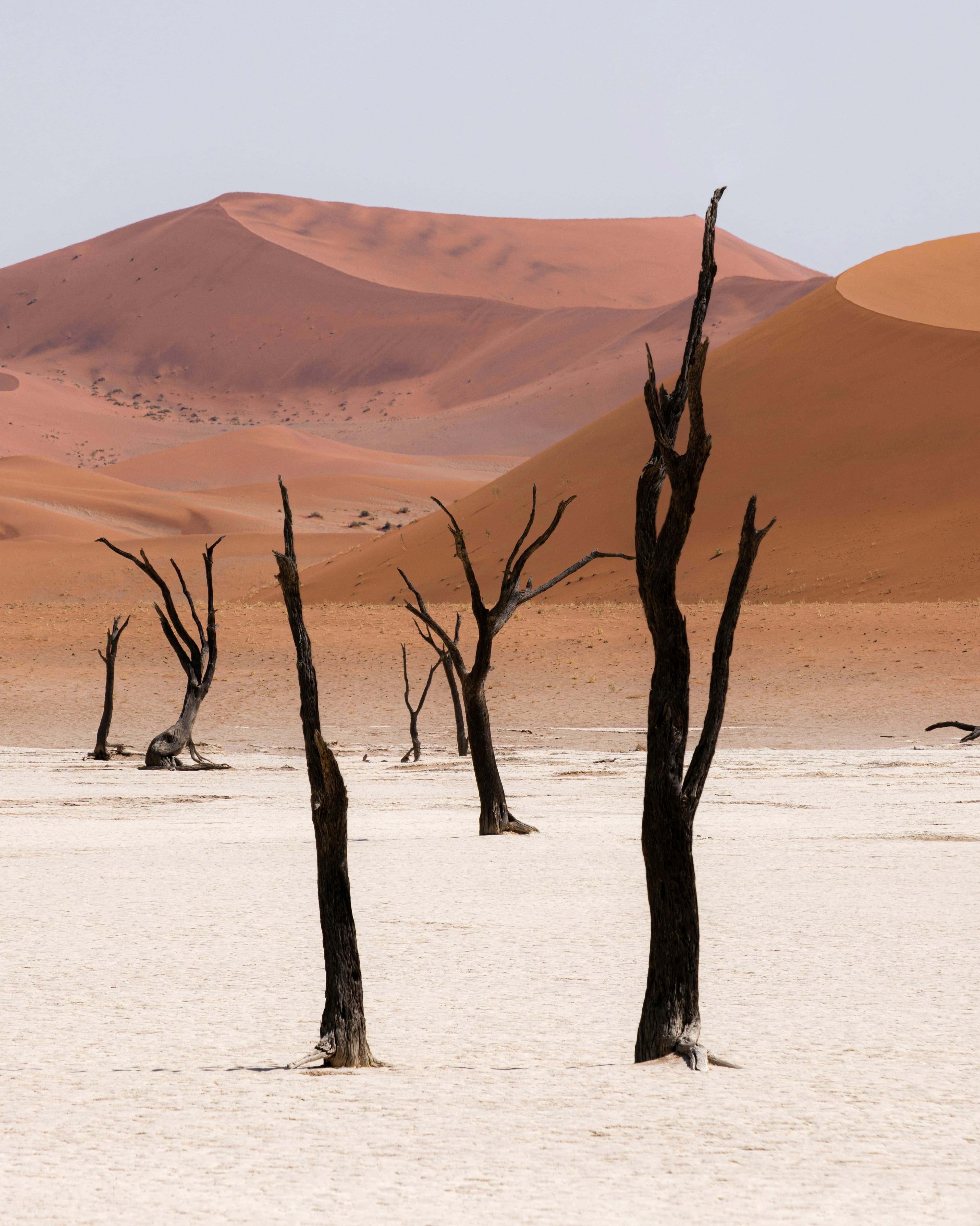 Luxury Travel in 2026: Where Travelers Who’ve Seen It All Are Going curated by Regina Larrazolo