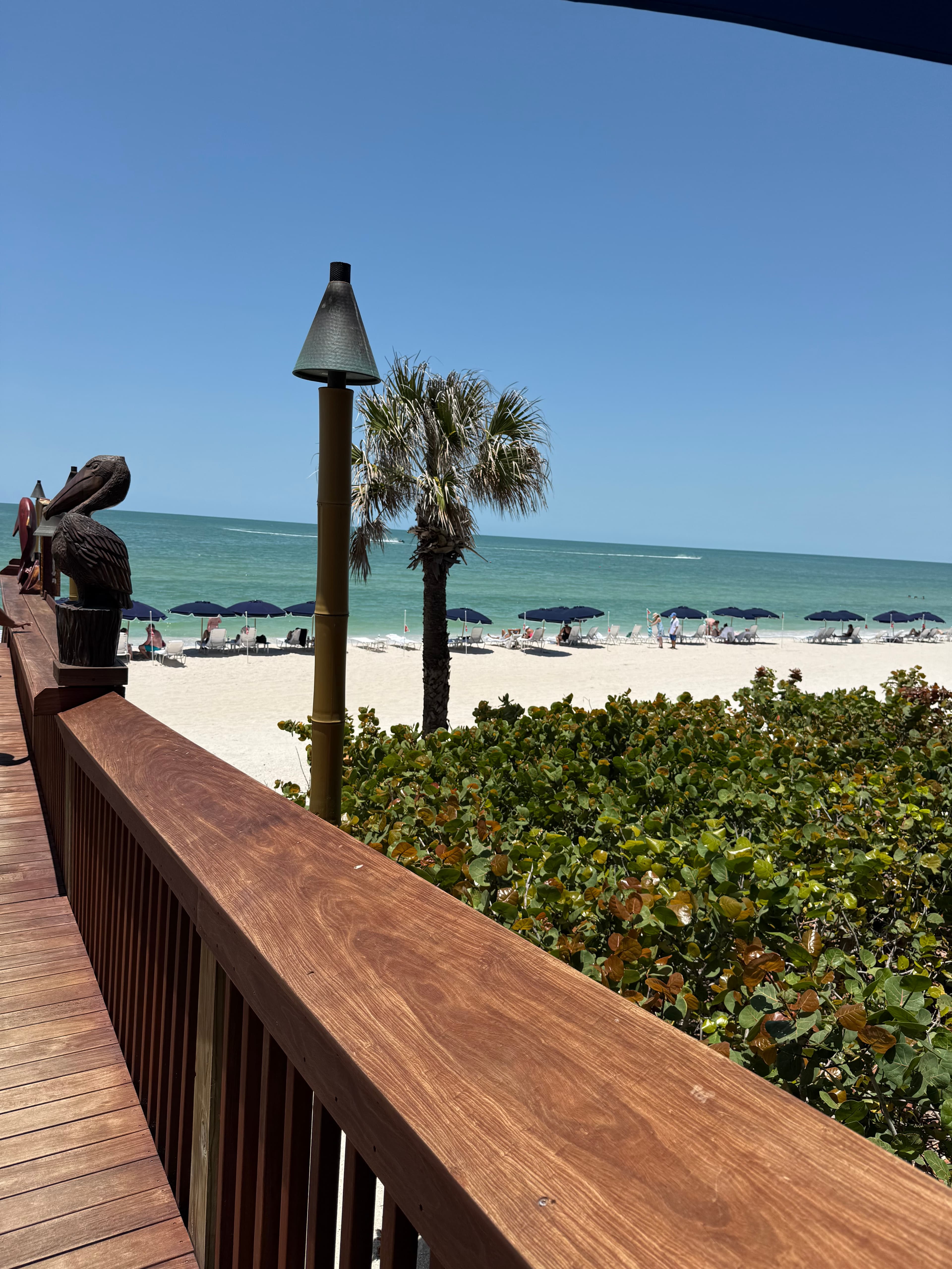 Naples, Florida: A Born-and-Raised Perspective curated by Jennifer Singleton