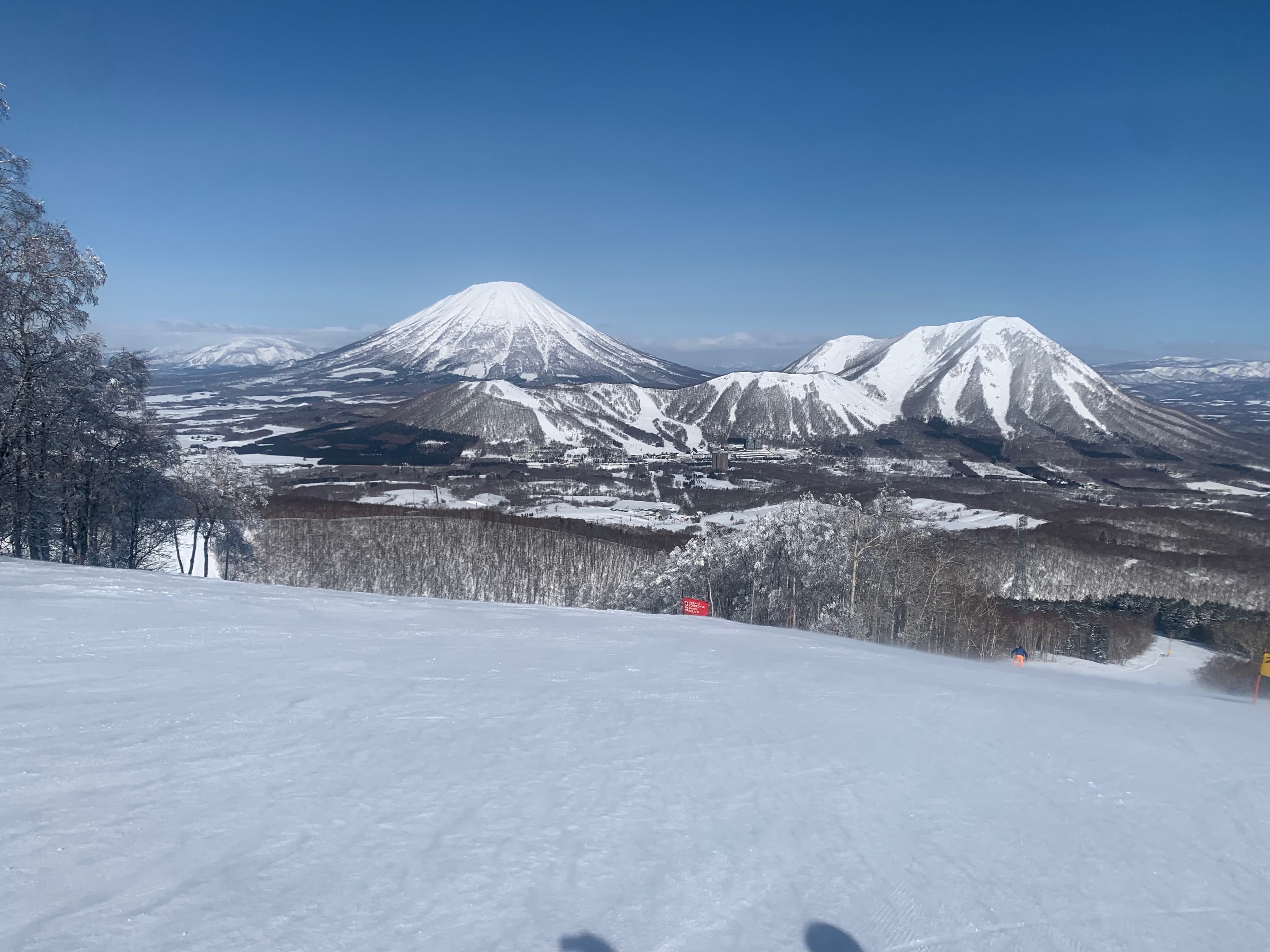 Niseko, Japan: Powder Paradise (Even When You Don't Want to Ski!) curated by Margo Kay