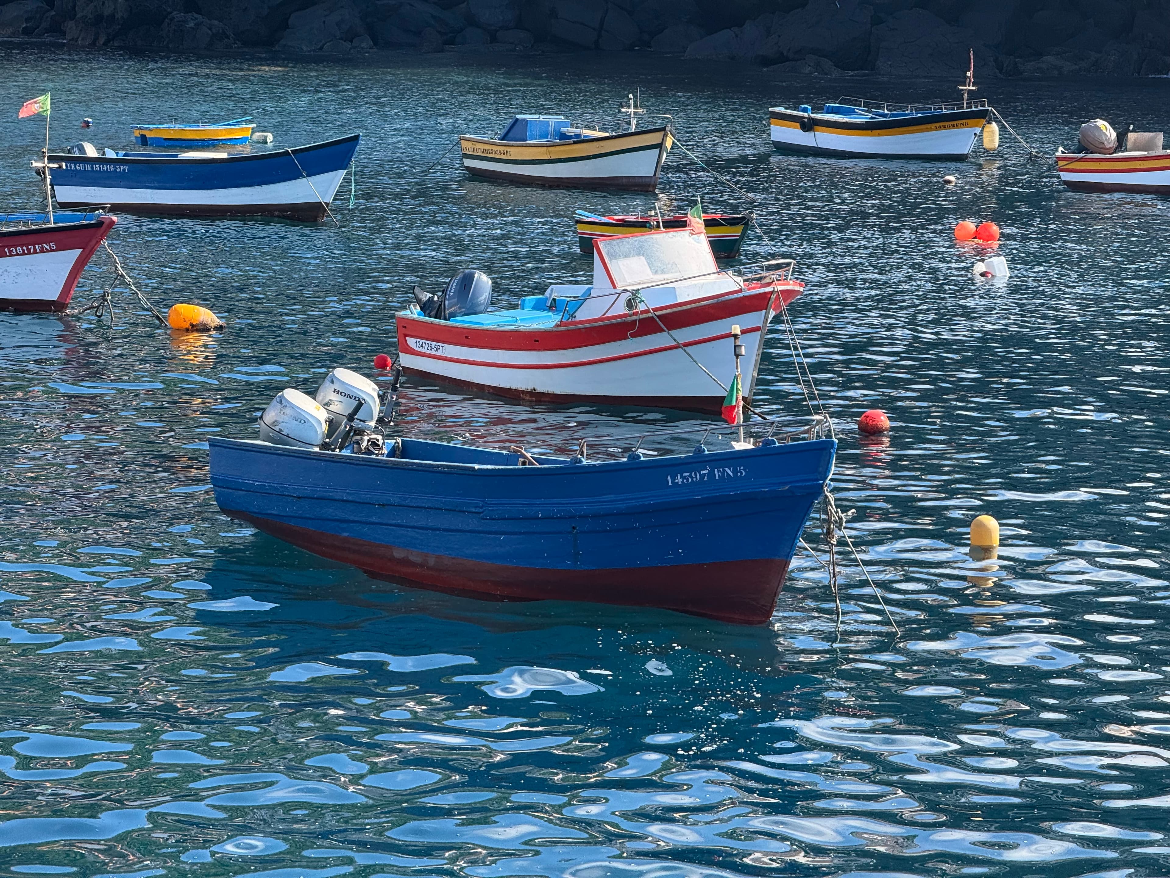 The Best of Portugal: Porto, Lisbon & Madeira in 8 Days curated by Jeff Katcherian