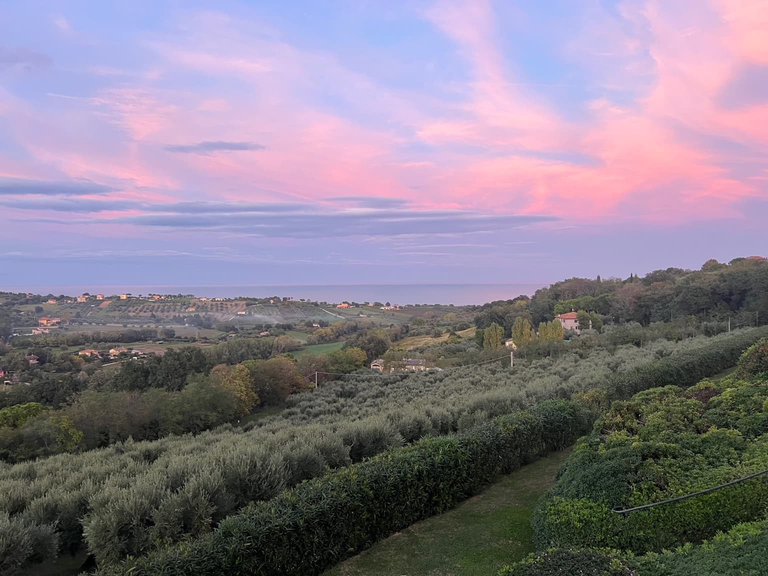 A Restorative Wellness Retreat at Oliveto Estate, Civitanova, Italy curated by Liisa Dewhurst