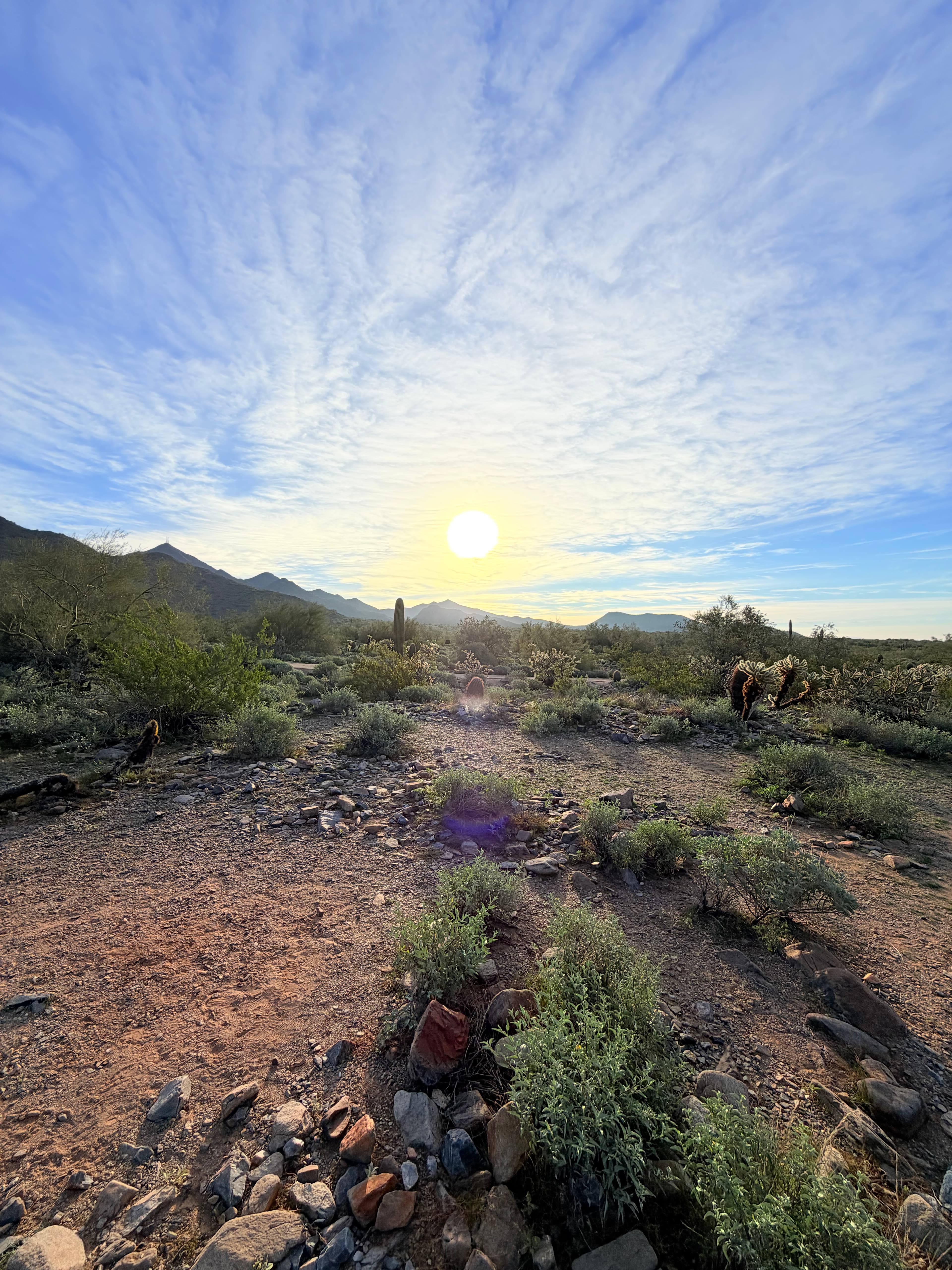 Scottsdale With a Toddler: The “Easy Wins” Guide (Low-Stress, High-Fun, No-Fuss Logistics) curated by Danielle Mutovic