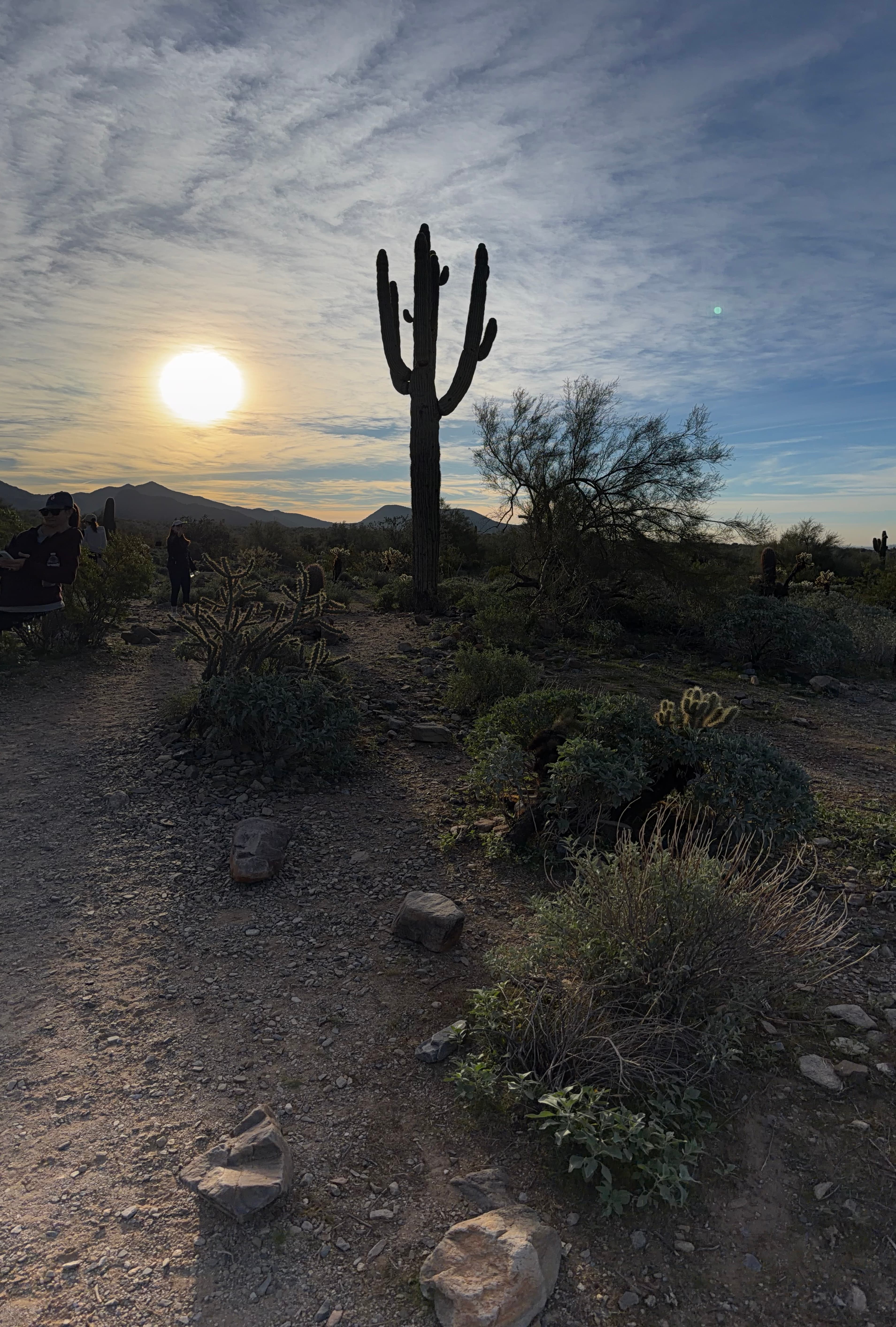 The Scottsdale Wellness Edit: Spa Days, Sound Meditation & the Art of Actually Slowing Down curated by Danielle Mutovic