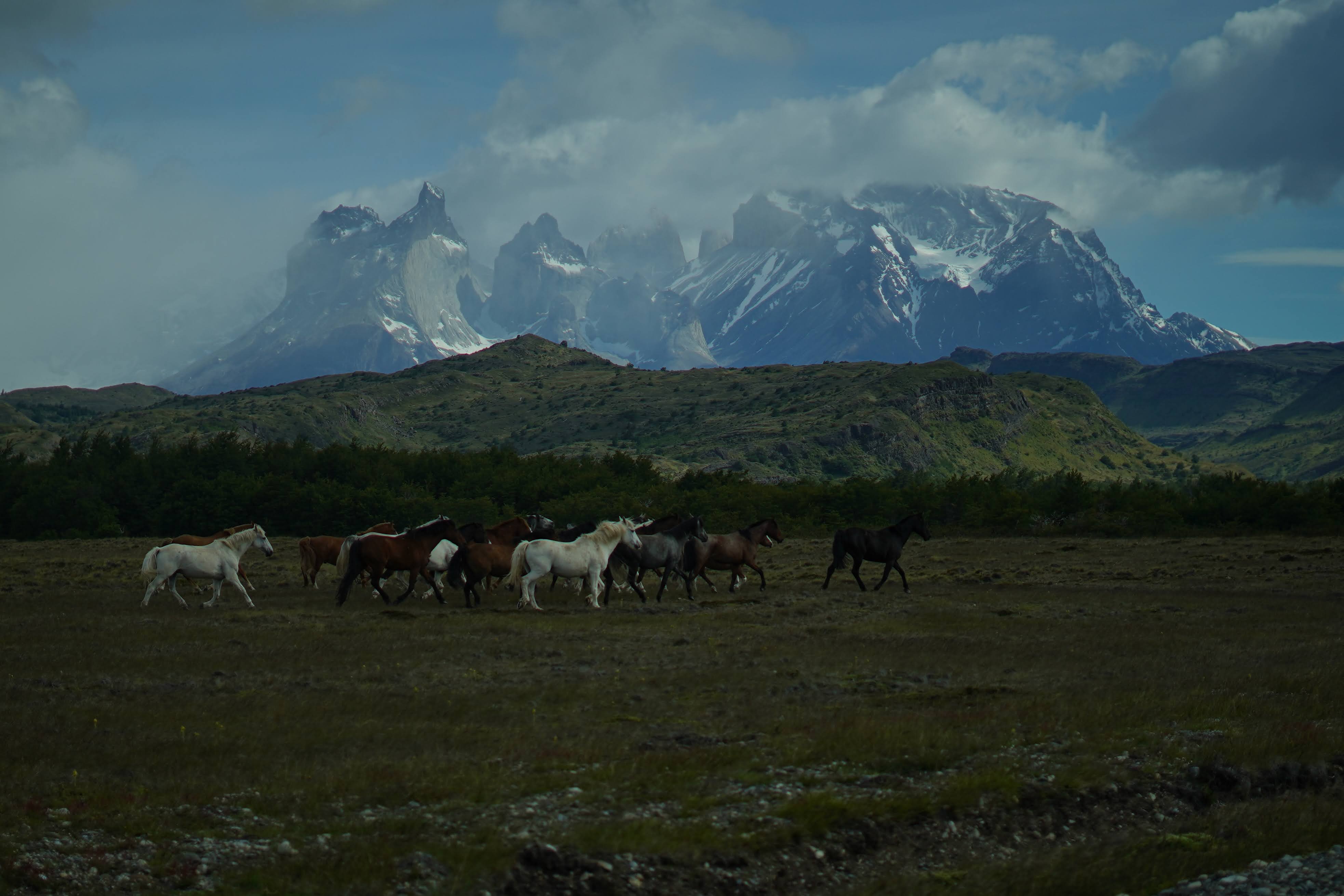 Patagonia Unbound: A 10-Day Journey Through Argentina & Chile curated by Nicole Beck