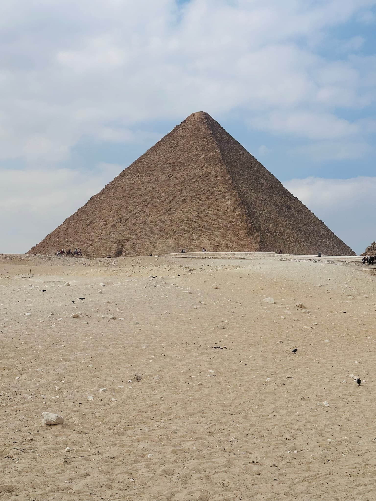 Egyptian Travels and Treasures in 7 Days curated by Kora Wilkes