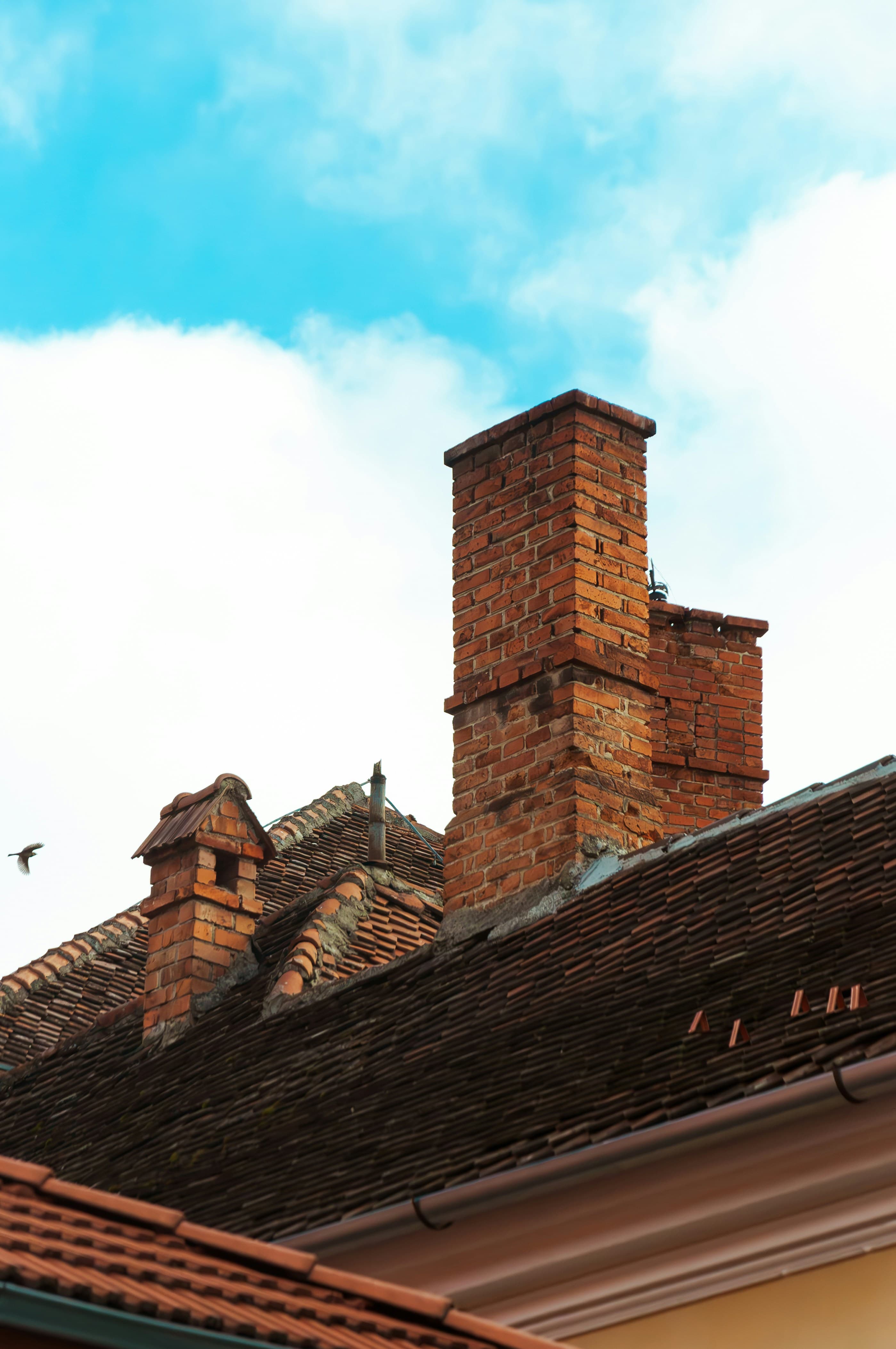 Making the Most of Europe: Amsterdam, Brussels & Paris in 9 Days curated by Maliya Reid