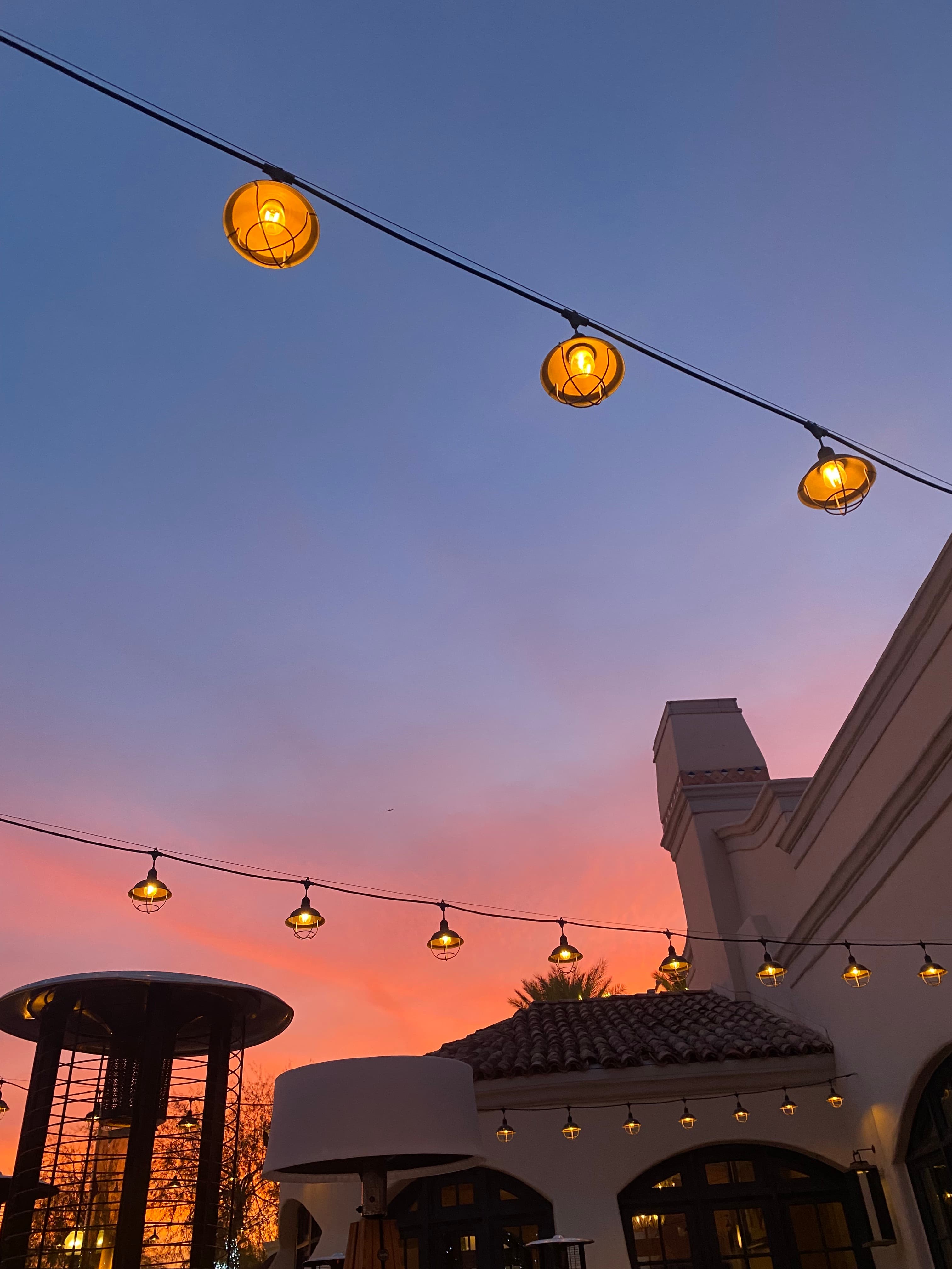 Holidays in Scottsdale, Arizona curated by Stephanie Cunningham