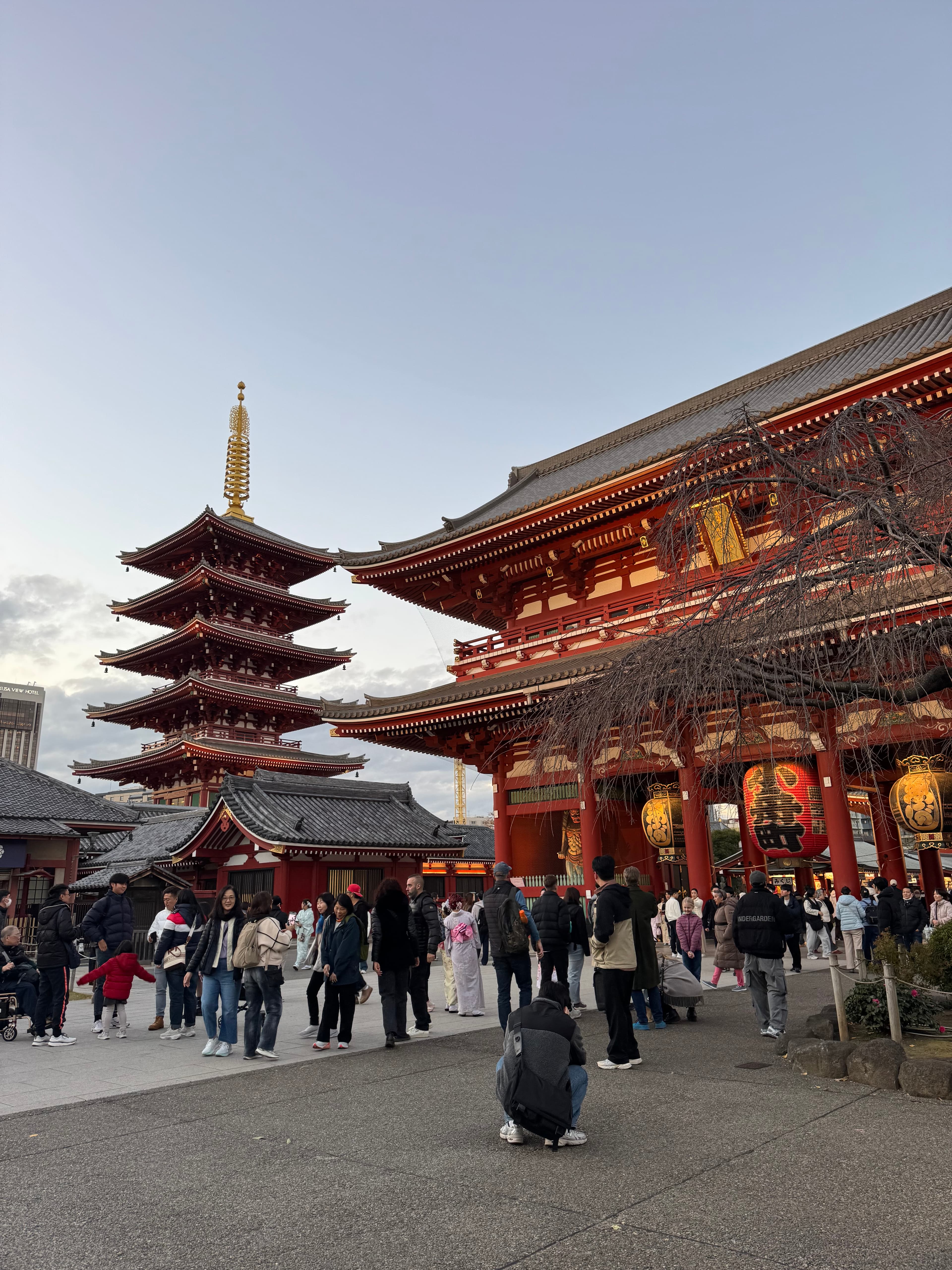 A First Timer's Guide to Tokyo curated by Megan McLaughlin