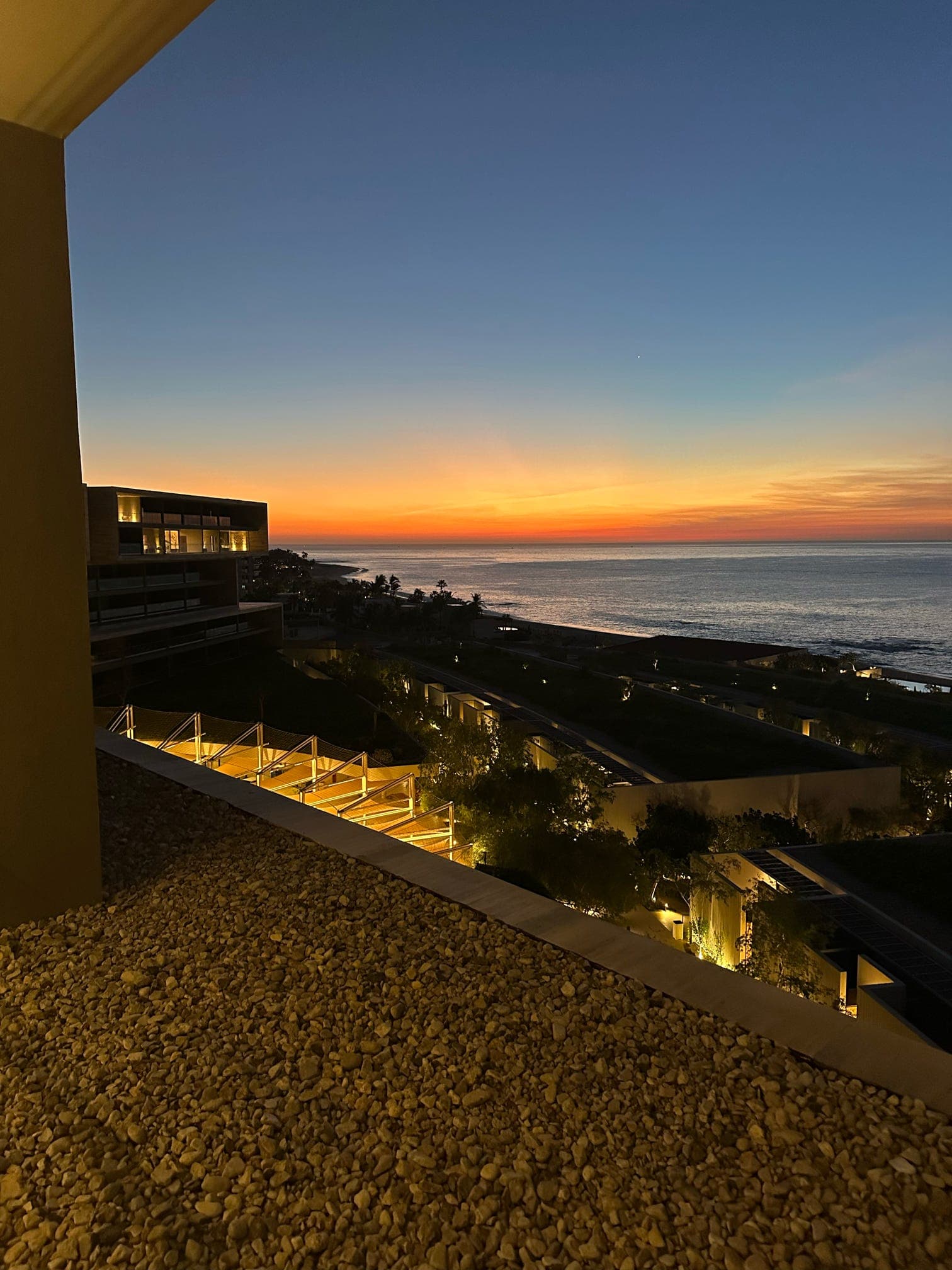 An Immersive Travel Guide for Food & Art Lovers in Los Cabos curated by Bee Harris