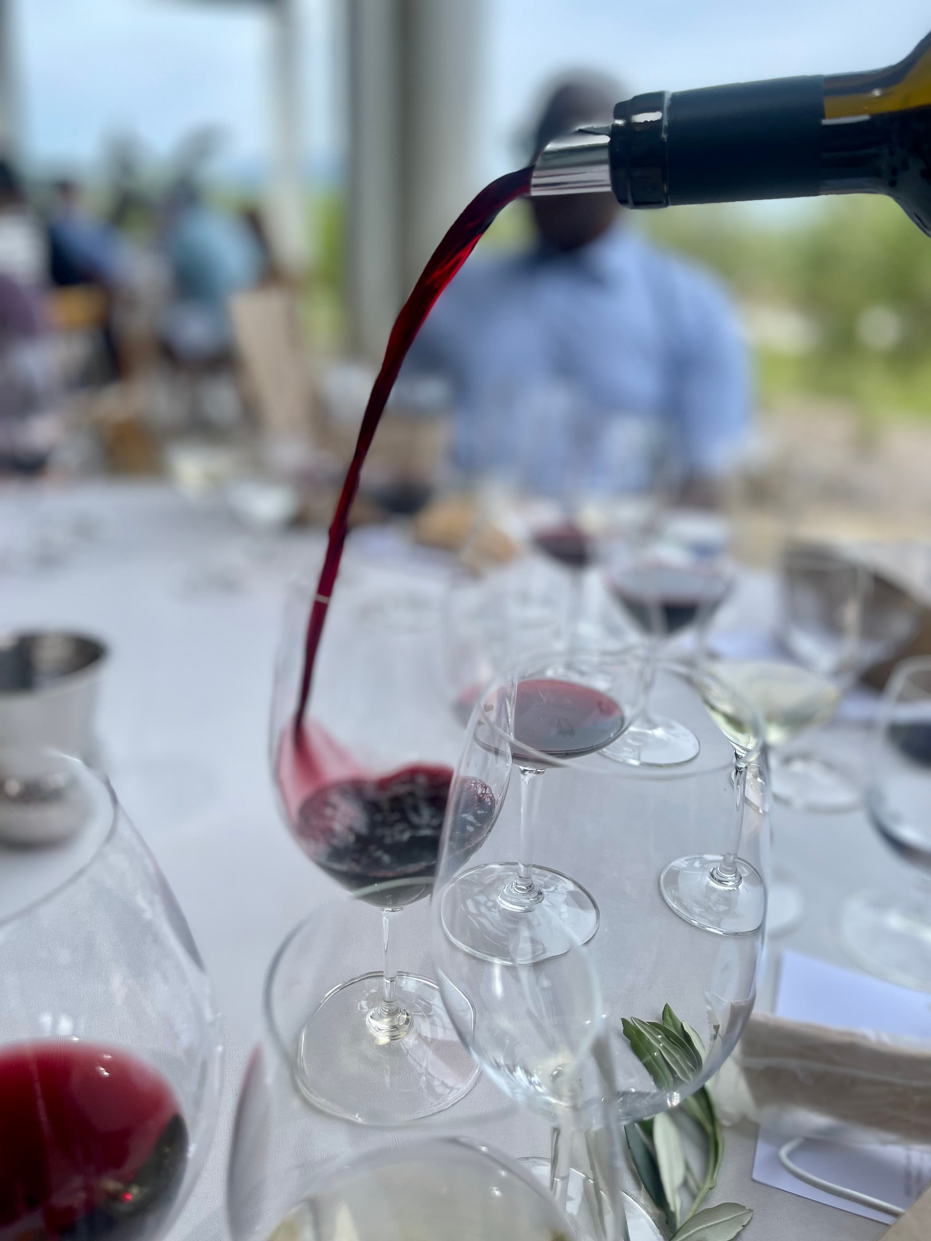 Memories In Motion Presents: Napa for the Modern Oenophile curated by Candace Hall