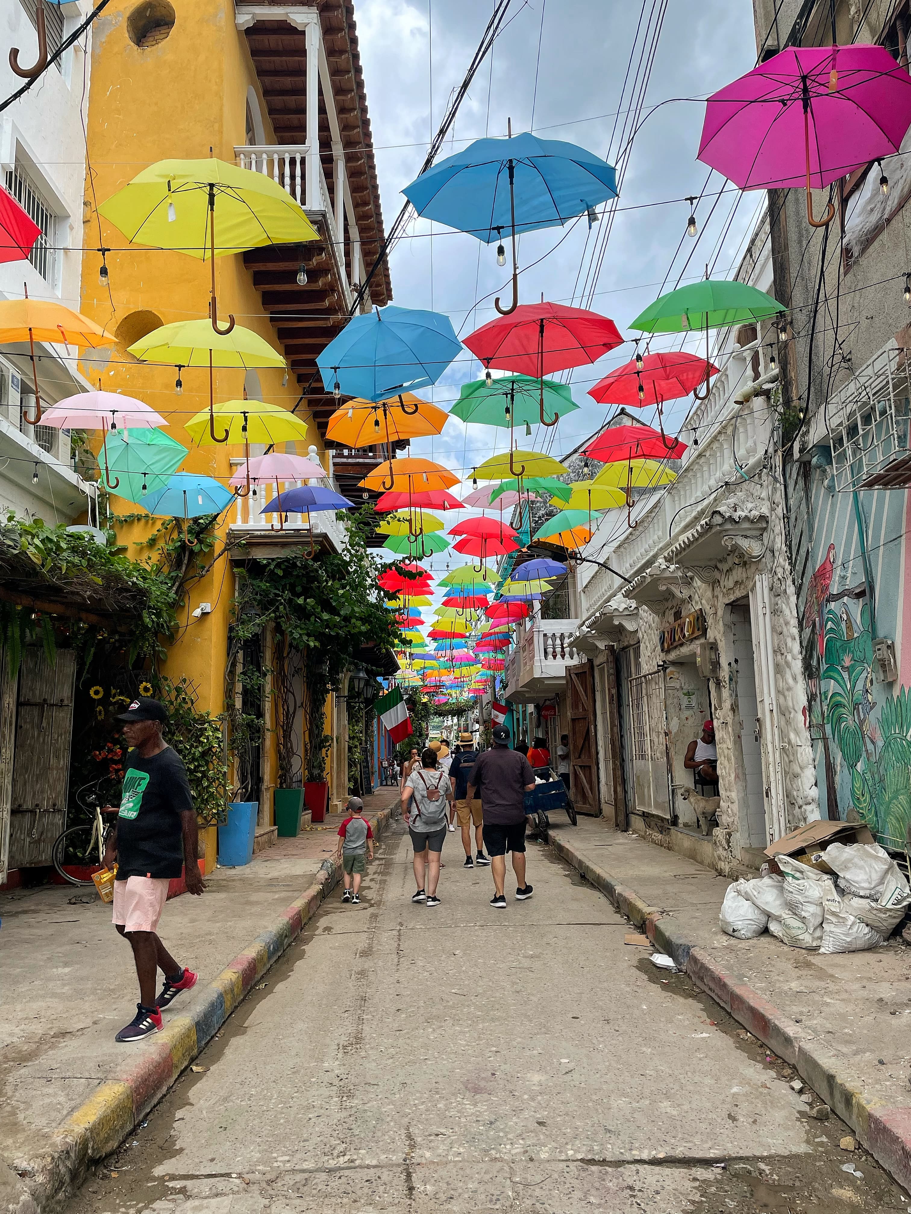 The Best of Cartagena curated by Sasha Kleinman