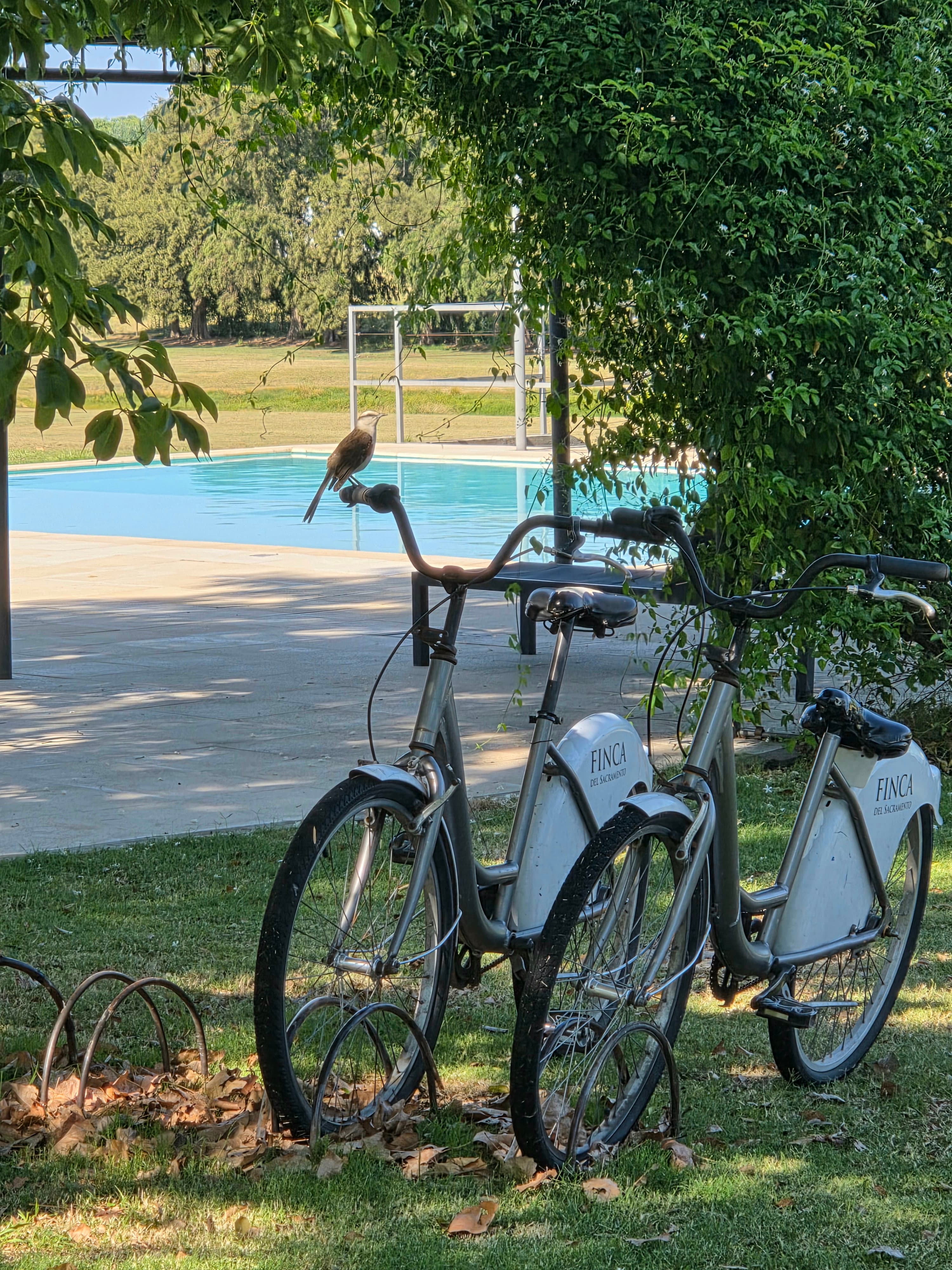 Finca del Sacramento: A Special Place to Celebrate Life curated by Silvana Analía Guzmán Saavedra