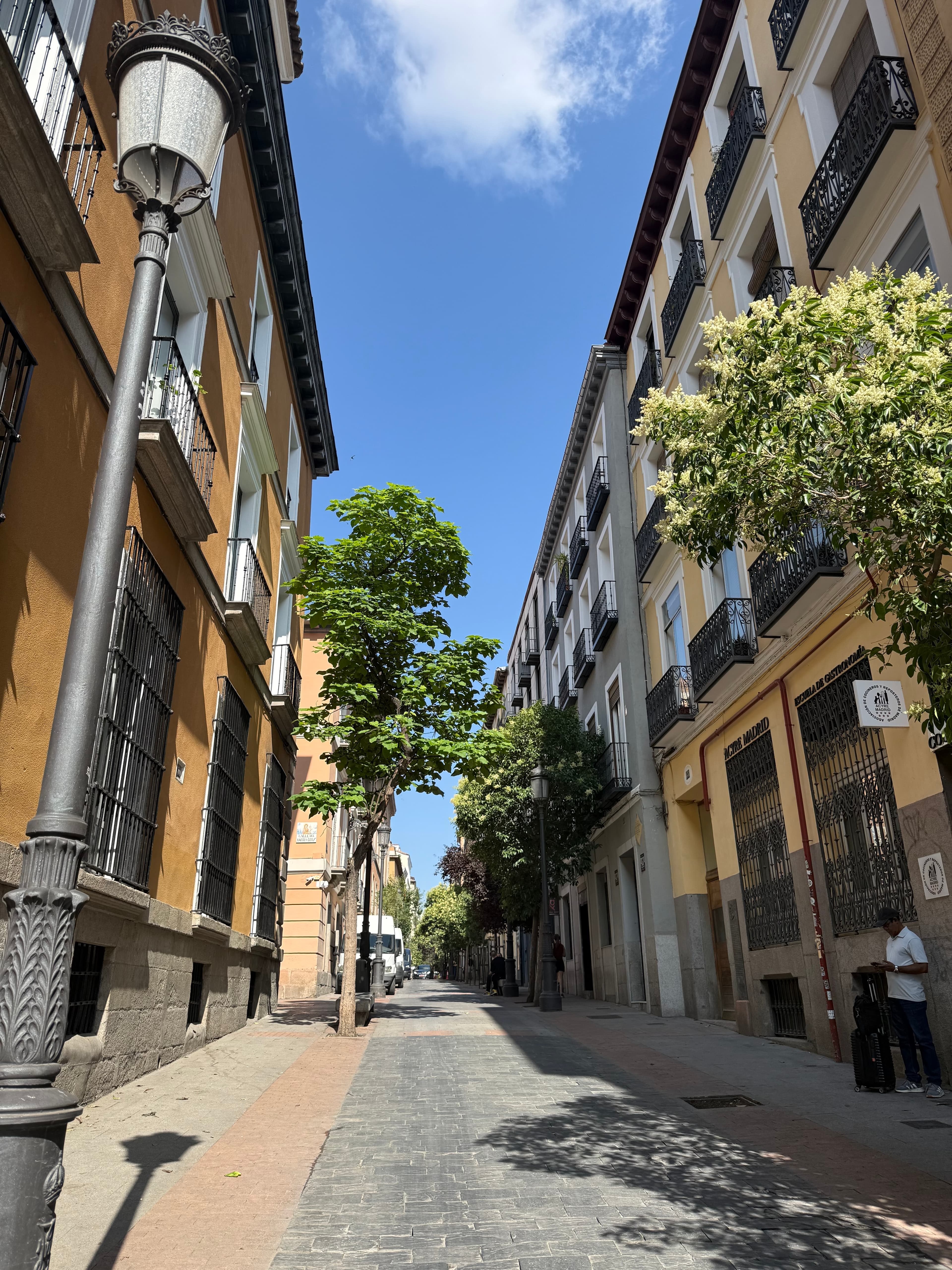 Surviving Summer in Madrid with Children curated by Elizabeth Whiteside