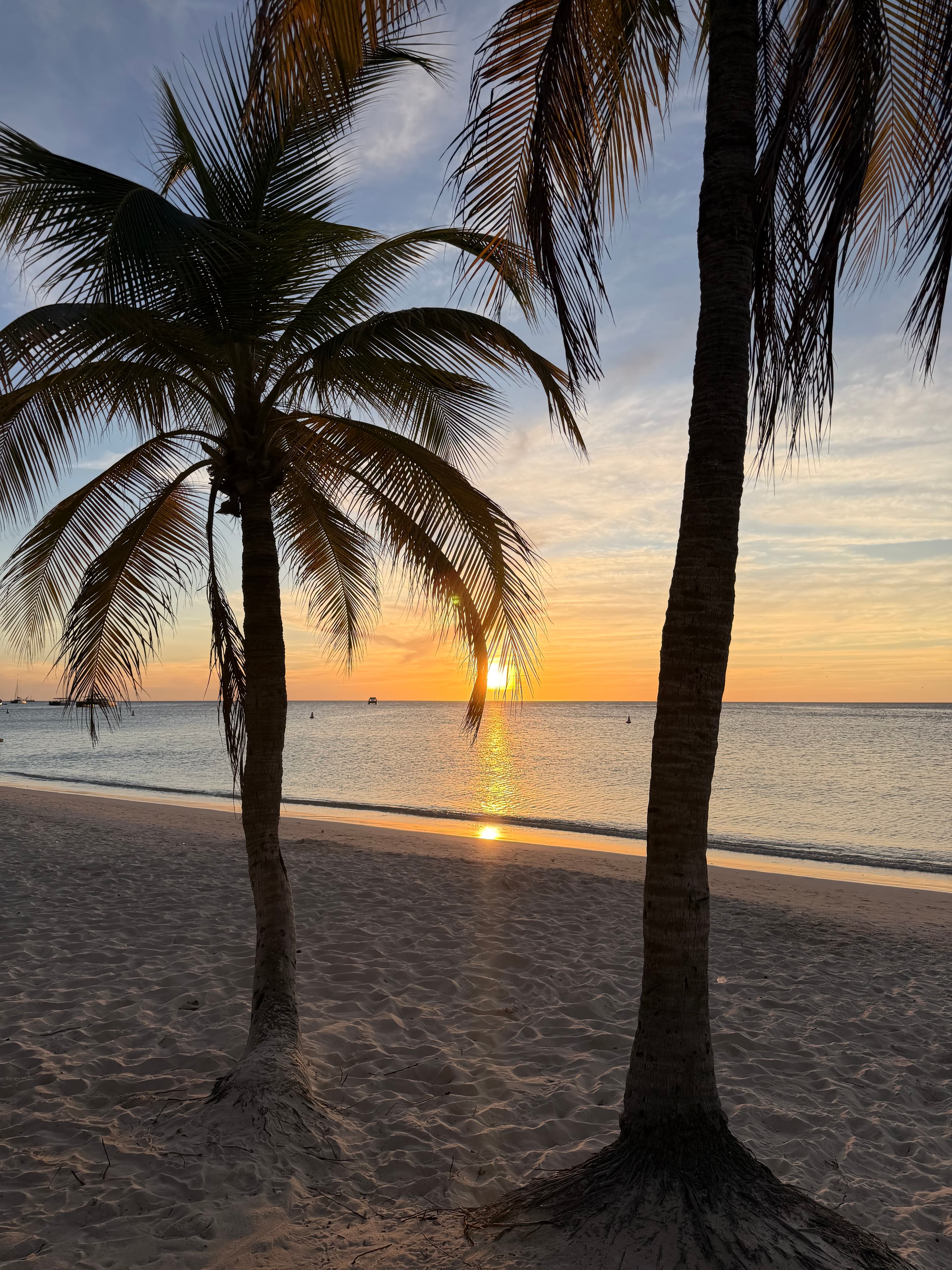 Barefoot Aruba: Beaches, Breezes & Beach Bars curated by Jessica Erickson