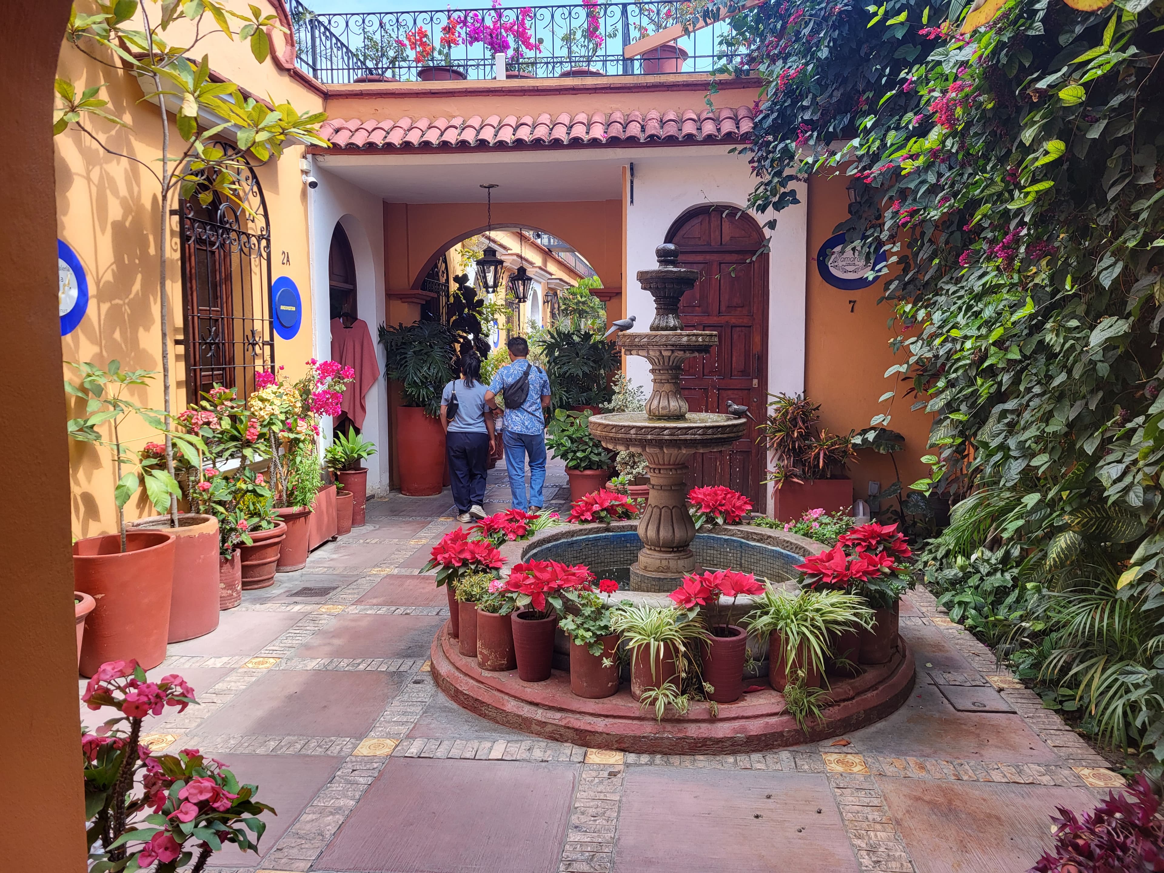 5 Colorful Days in Oaxaca, Mexico curated by Hillary Hermann