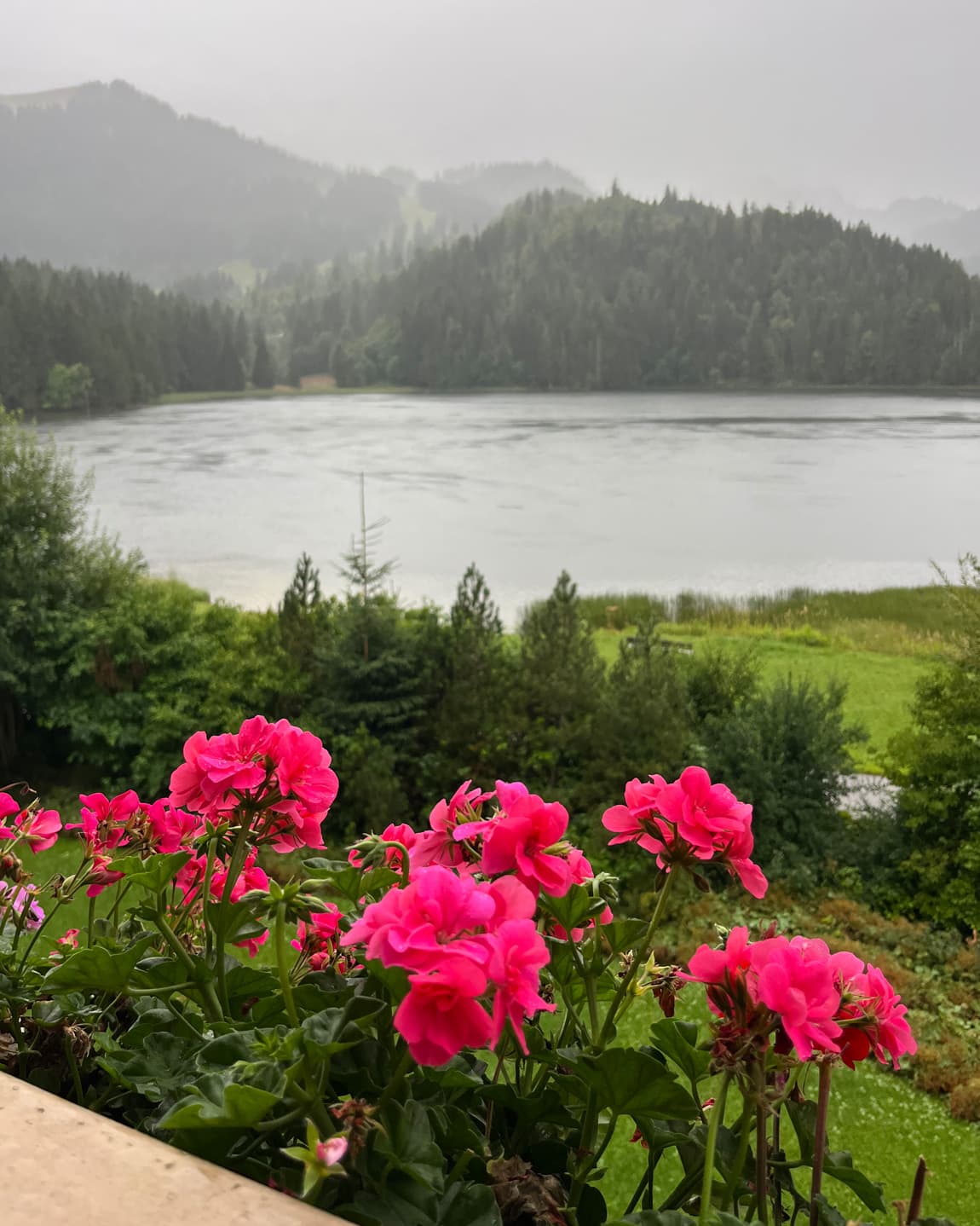 3 Days of Lake Life in Spitzingsee, Bavaria curated by Lucas Mittenentzwei