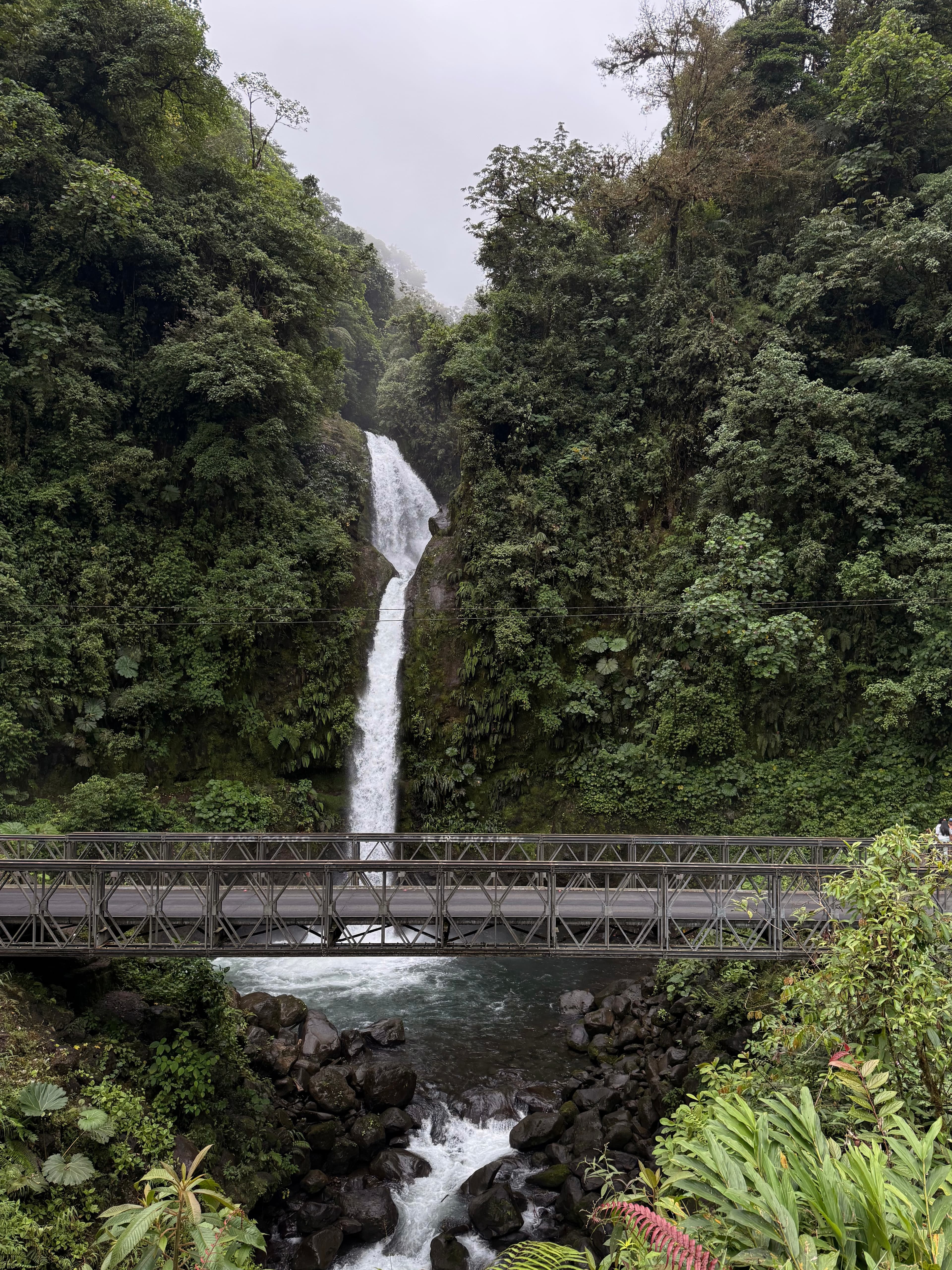 7-Day Costa Rica Itinerary: Adventure, Wildlife & Pura Vida curated by Caroline Willis