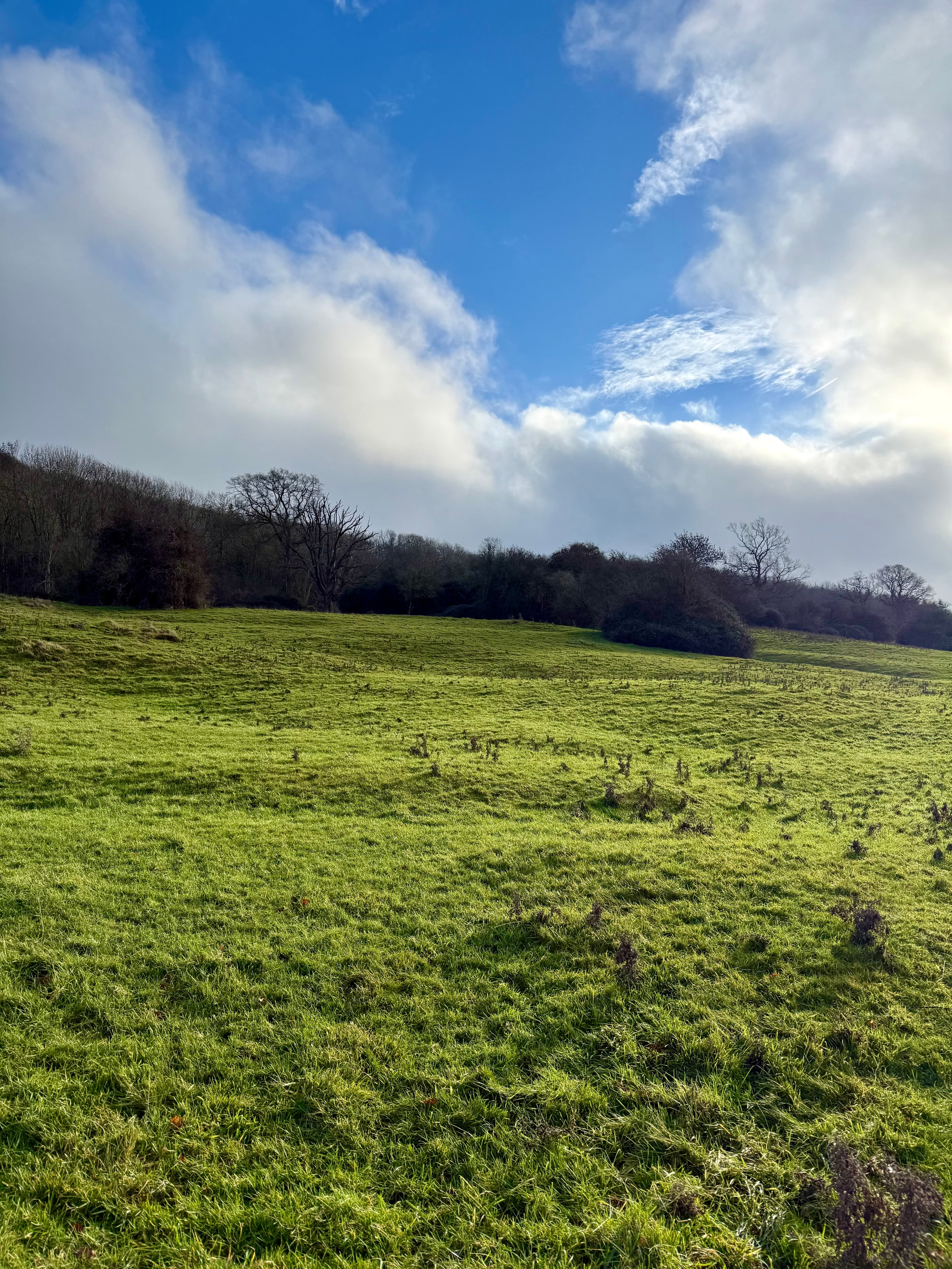A Slow & Cozy Weekend in the Cotswolds: Quiet Luxury, Country Walks & Fireside Pubs curated by Joanna Vinick
