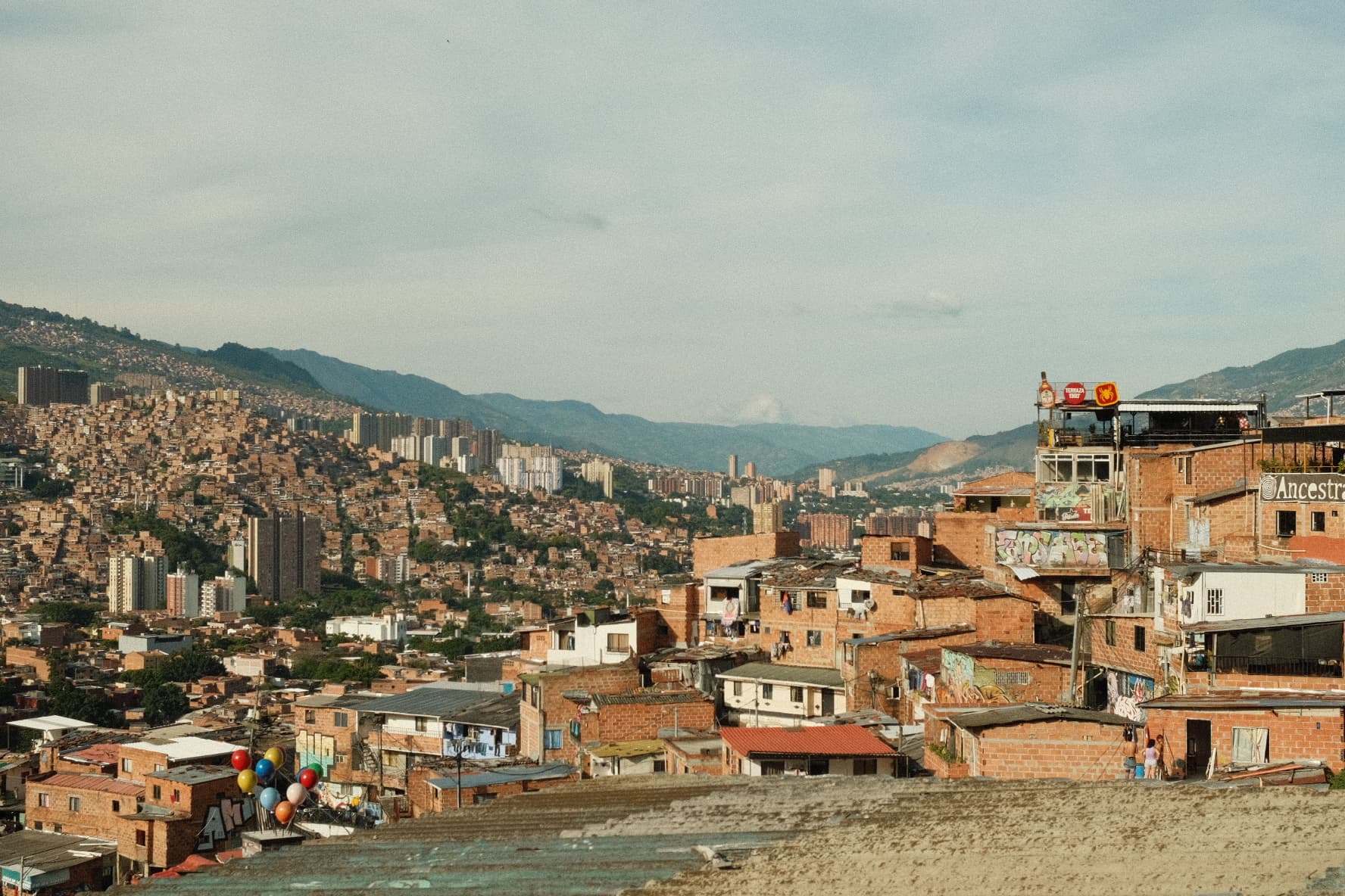 Favorites from Medellín, Colombia curated by Carlee Flanagan